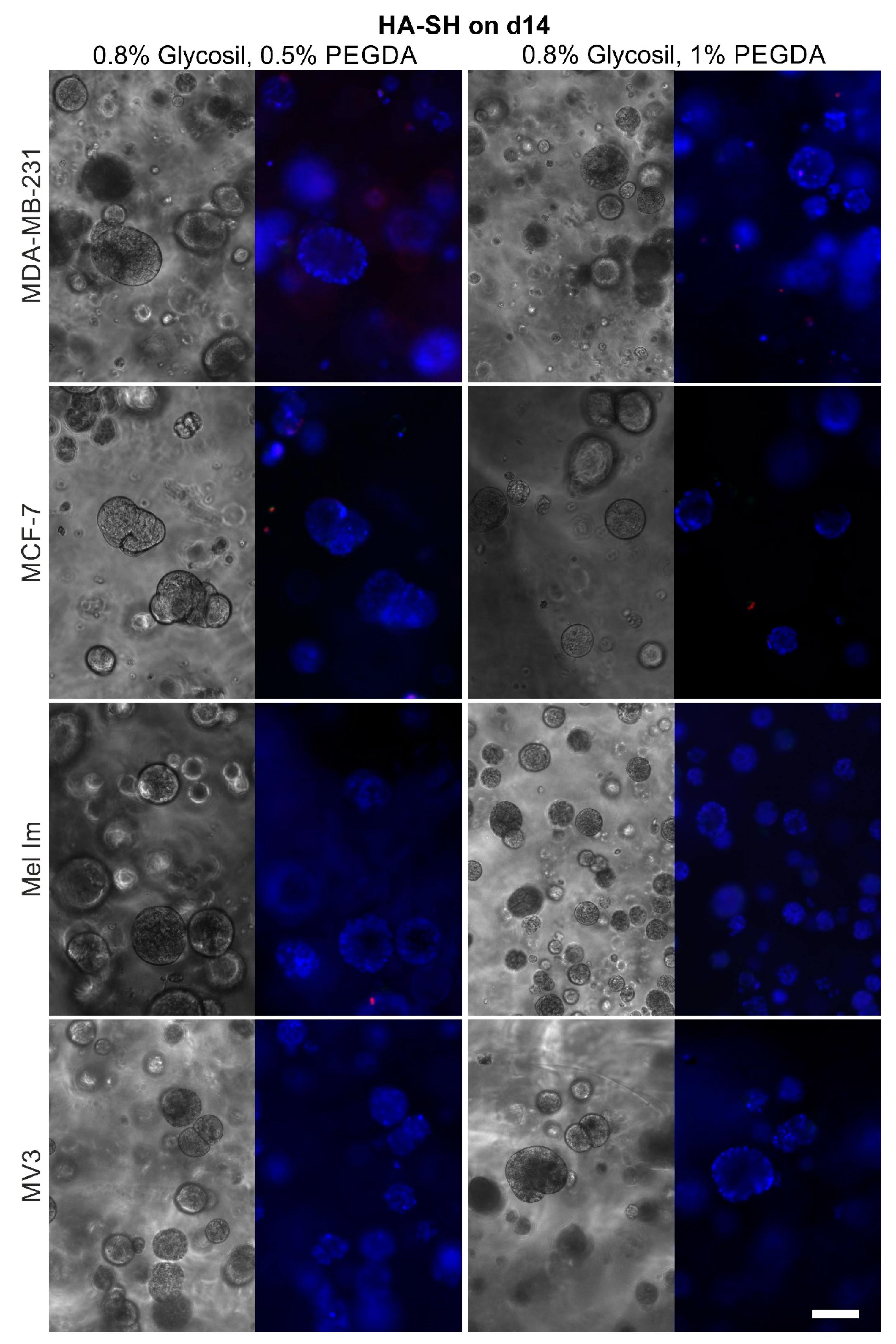 Cancers 12 02320 g006 Cancers 12 02320 g006