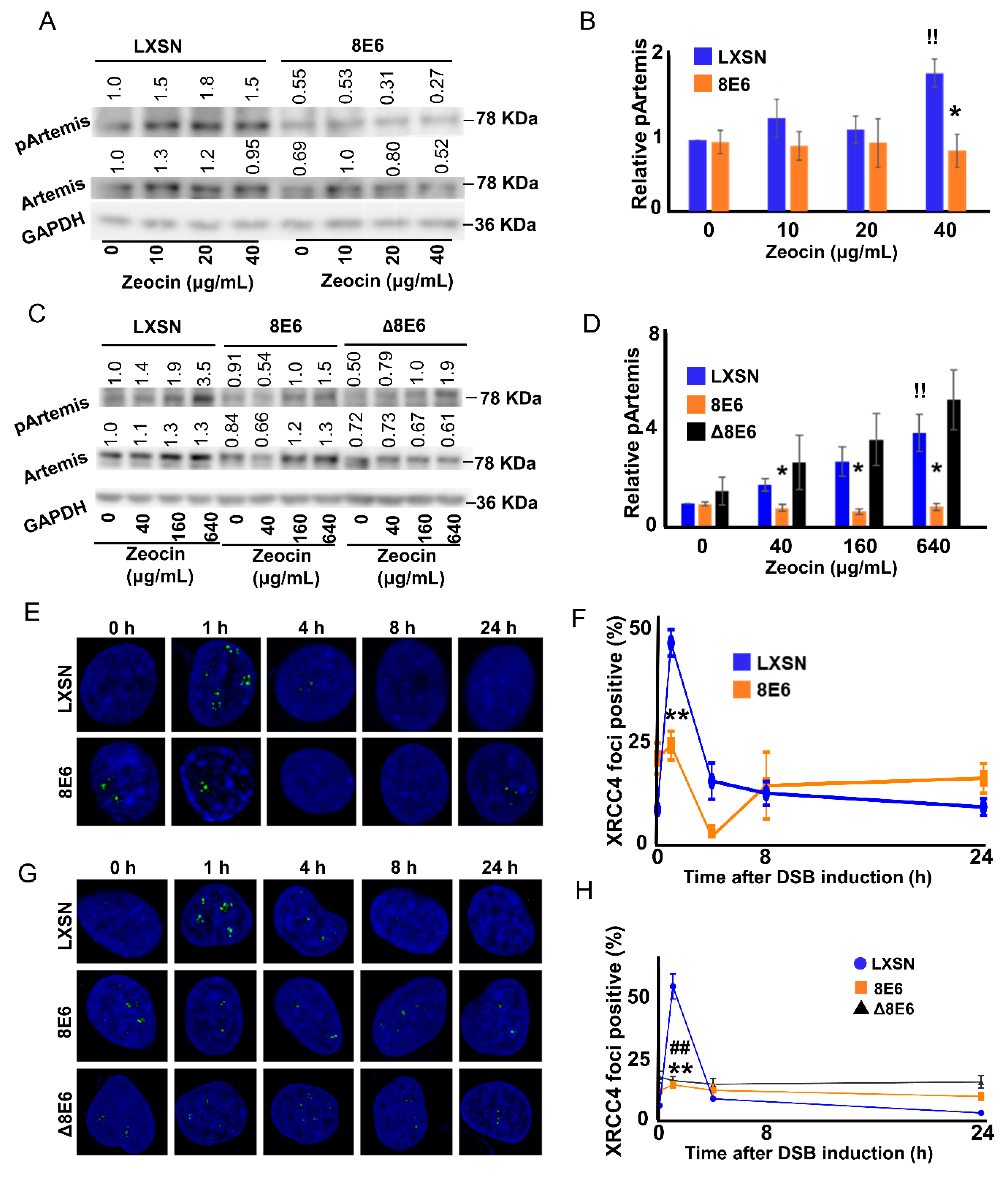 Cancers 12 02356 g005 Cancers 12 02356 g005