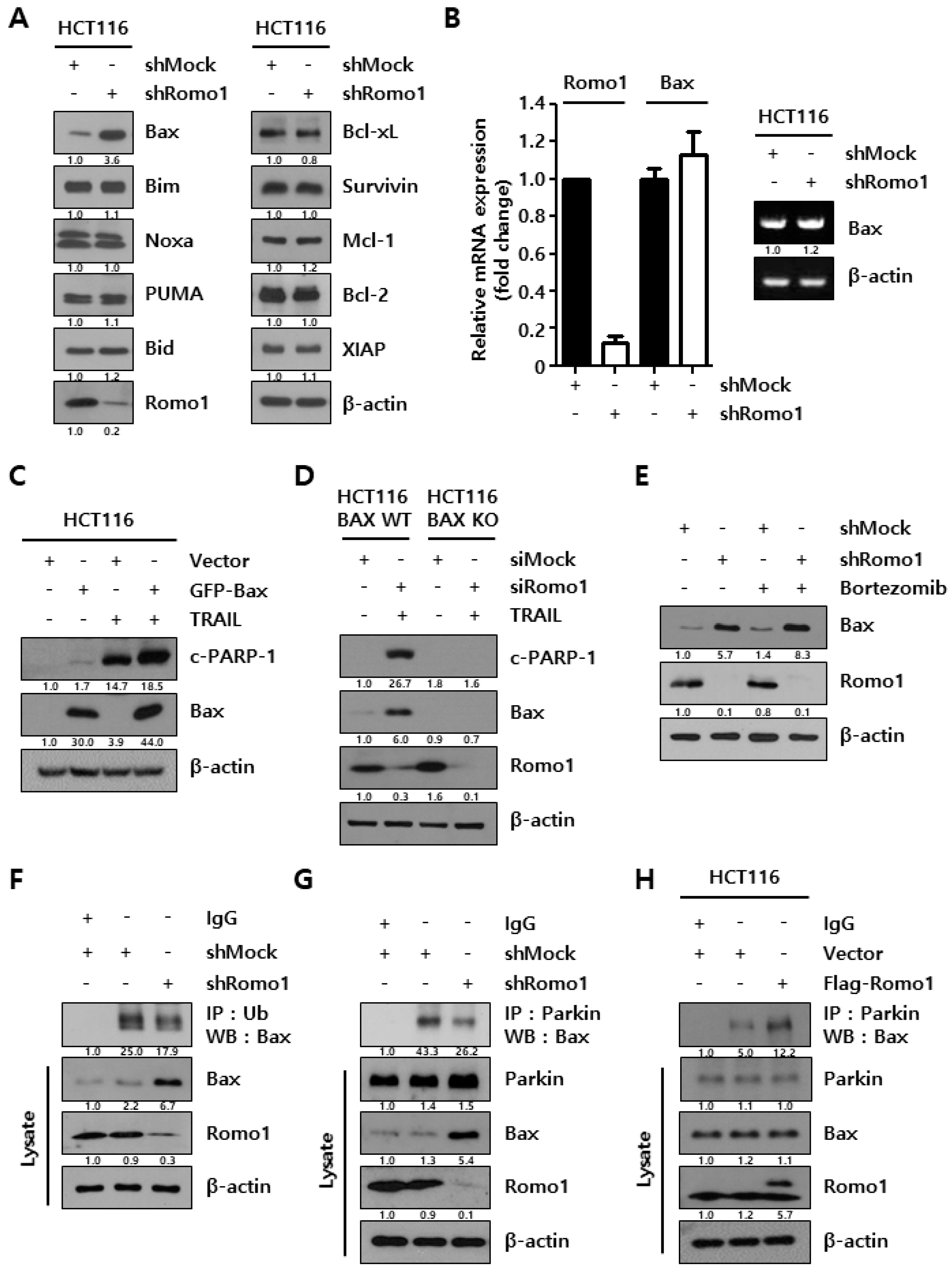 Cancers 12 02358 g002