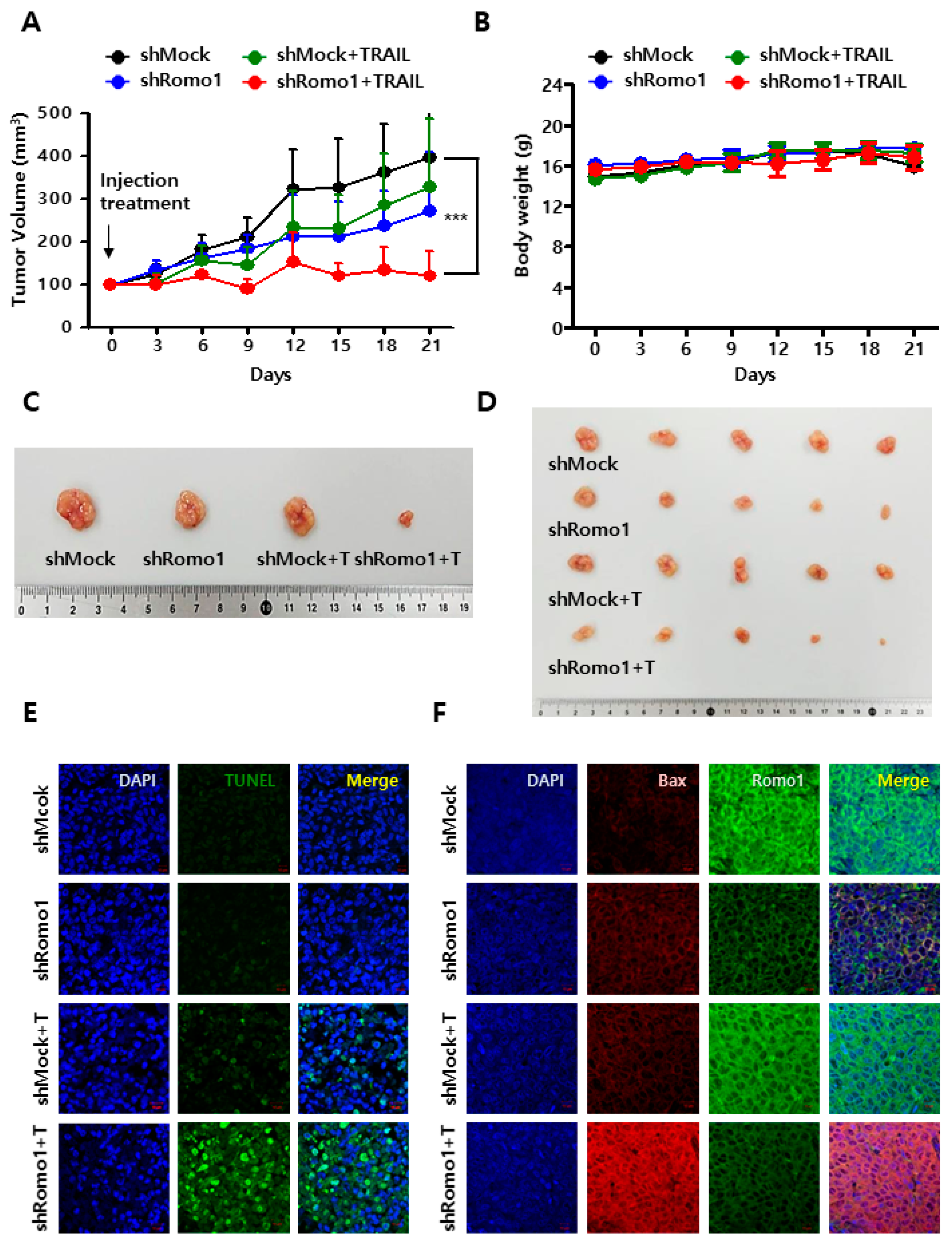 Cancers 12 02358 g005
