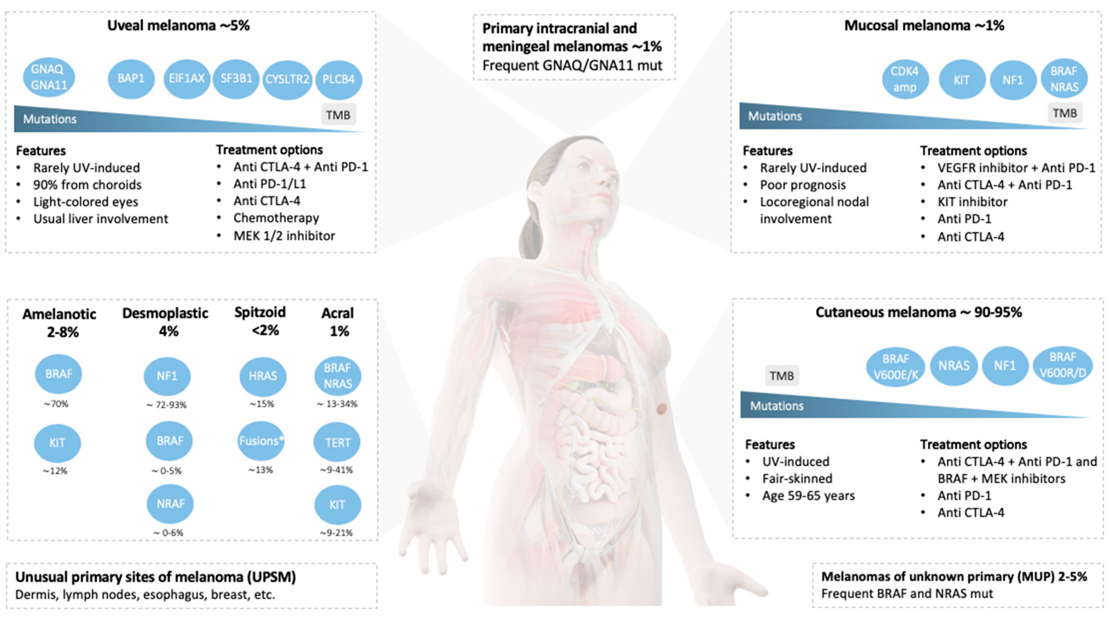 Cancers | Free Full-Text | Uncommon Subtypes of Malignant Melanomas: A  Review Based on Clinical and Molecular Perspectives | HTML
