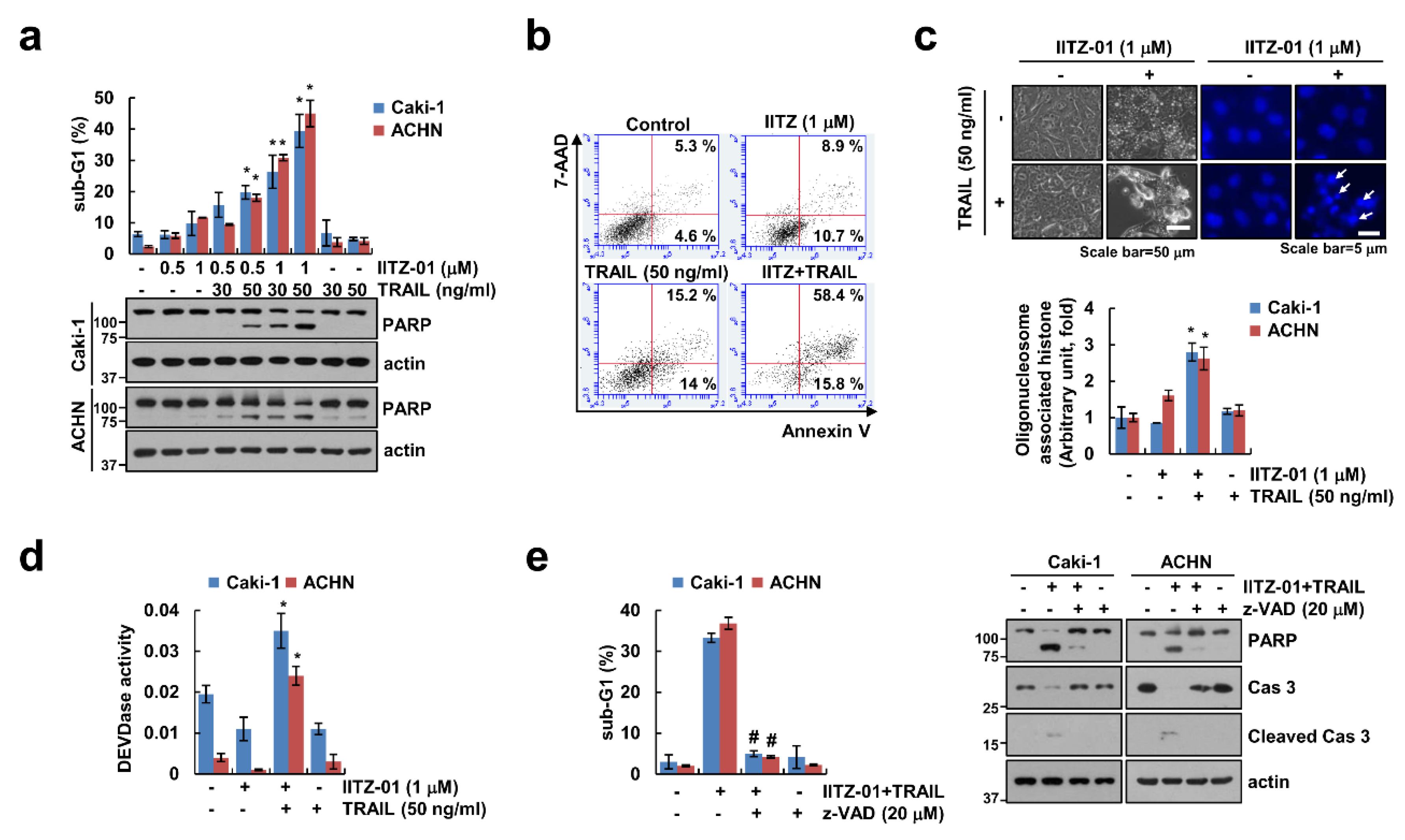 Cancers 12 02363 g001