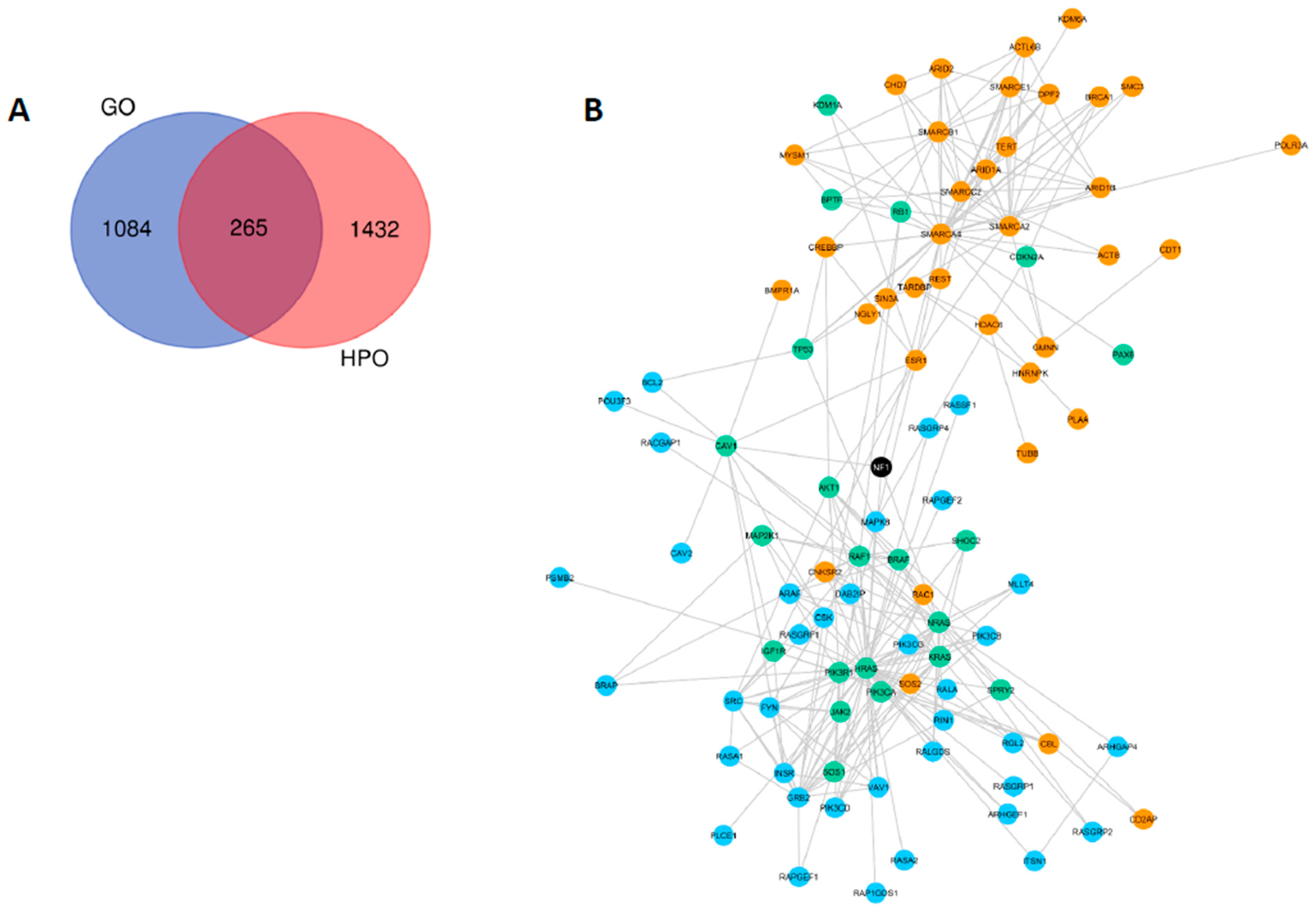 Cancers 12 02416 g002