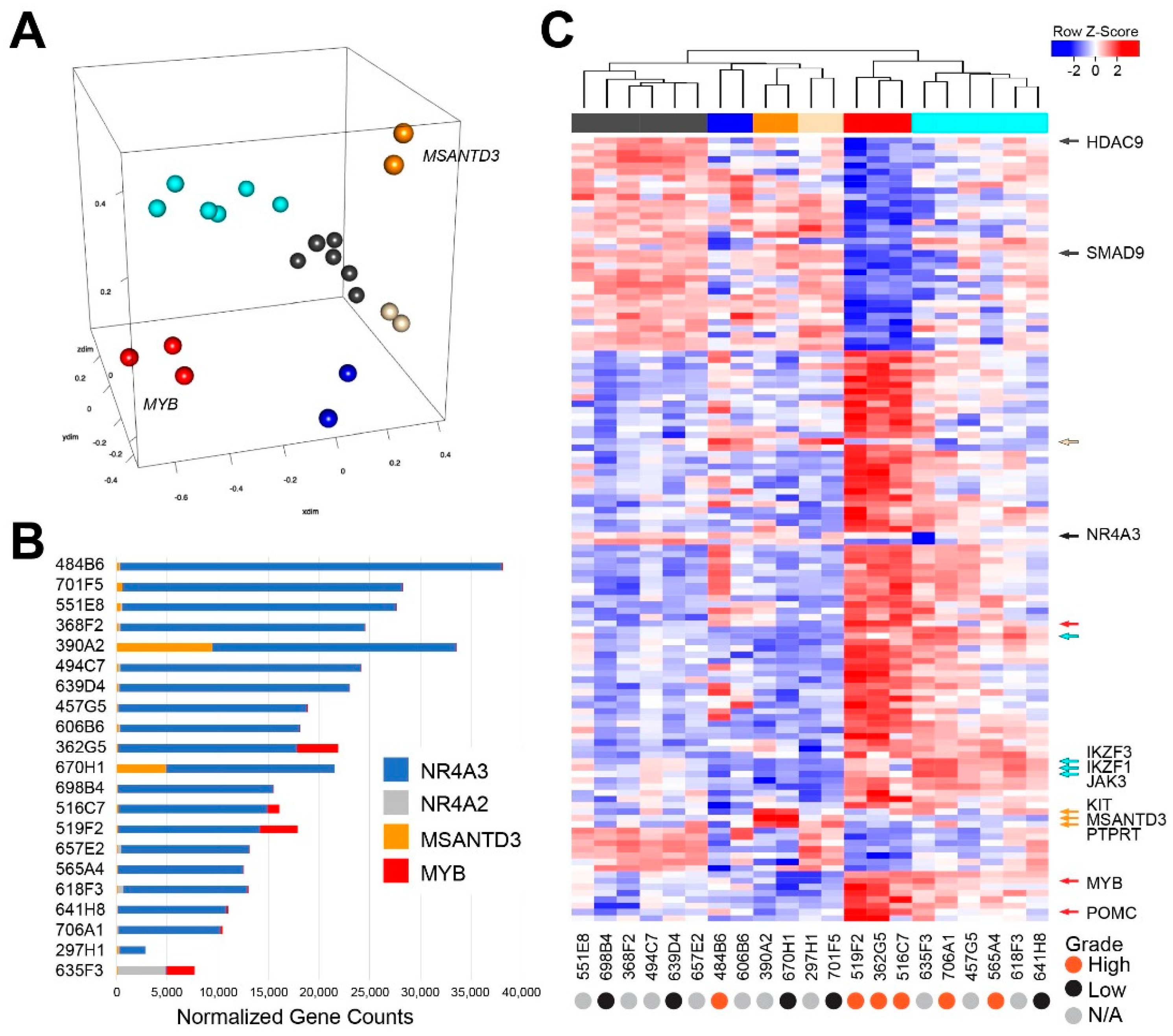 Cancers 12 02433 g002