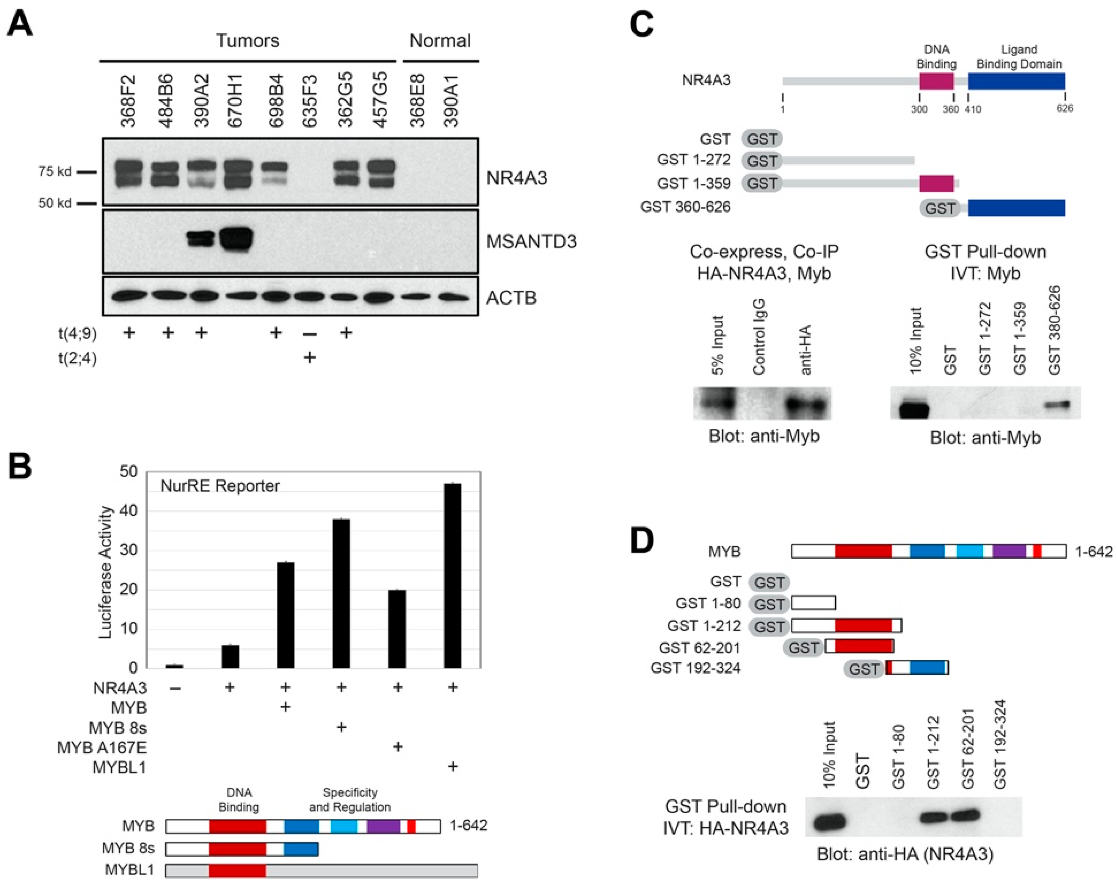 Cancers 12 02433 g004