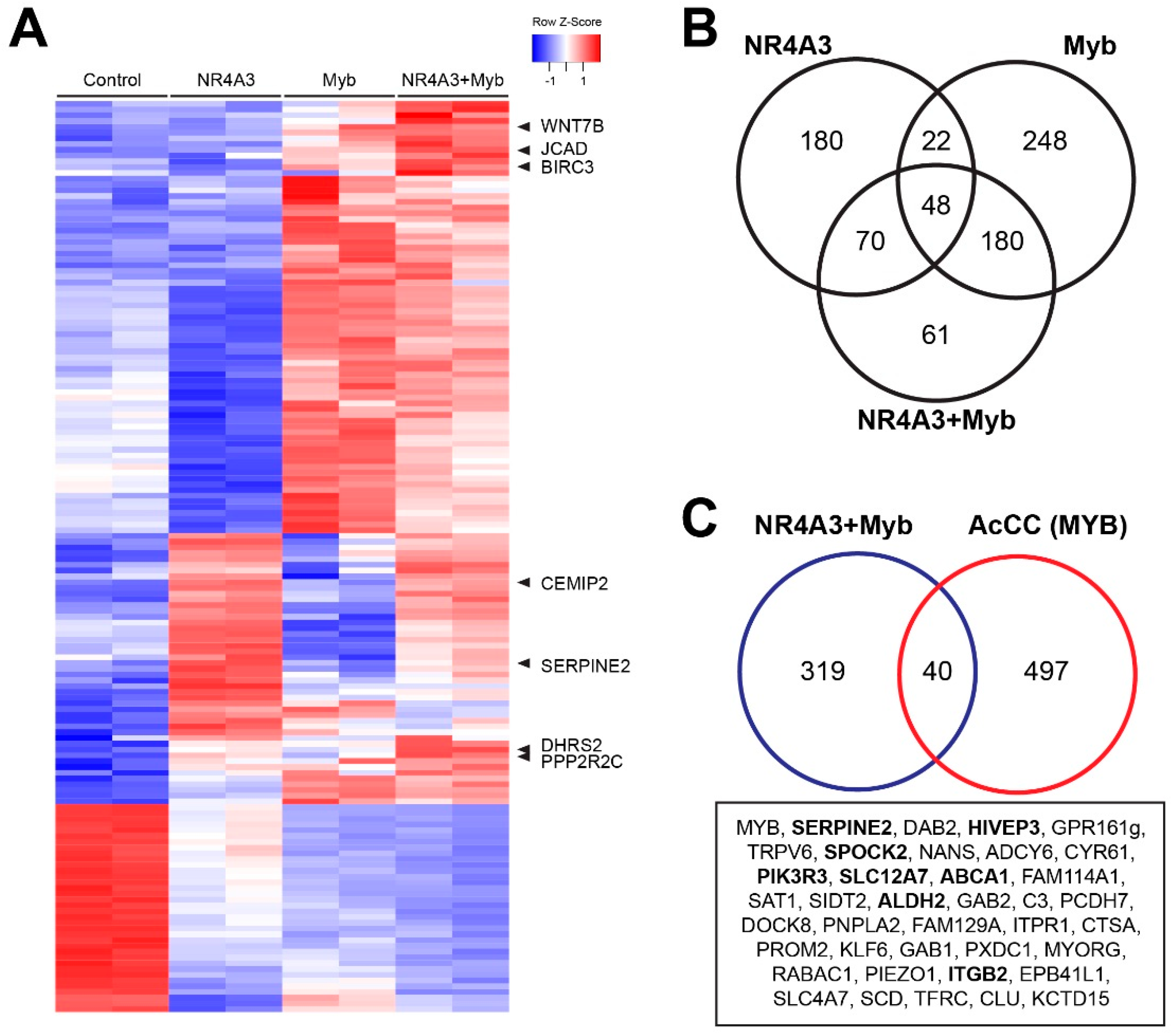 Cancers 12 02433 g005