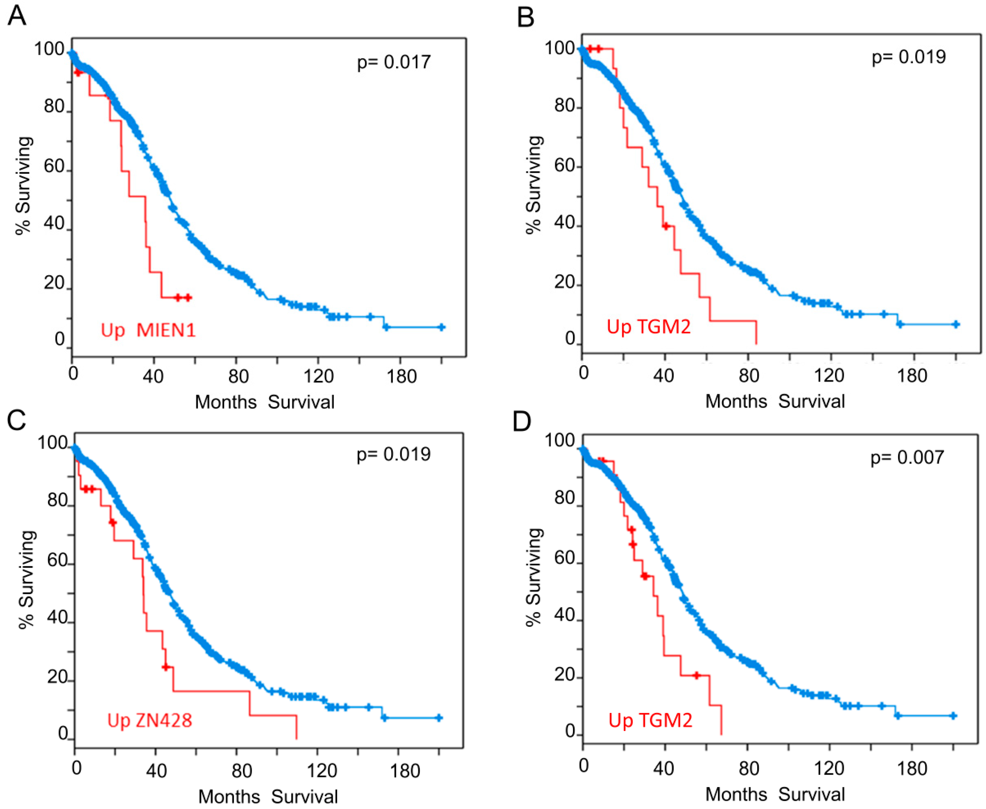 Cancers 12 02435 g004