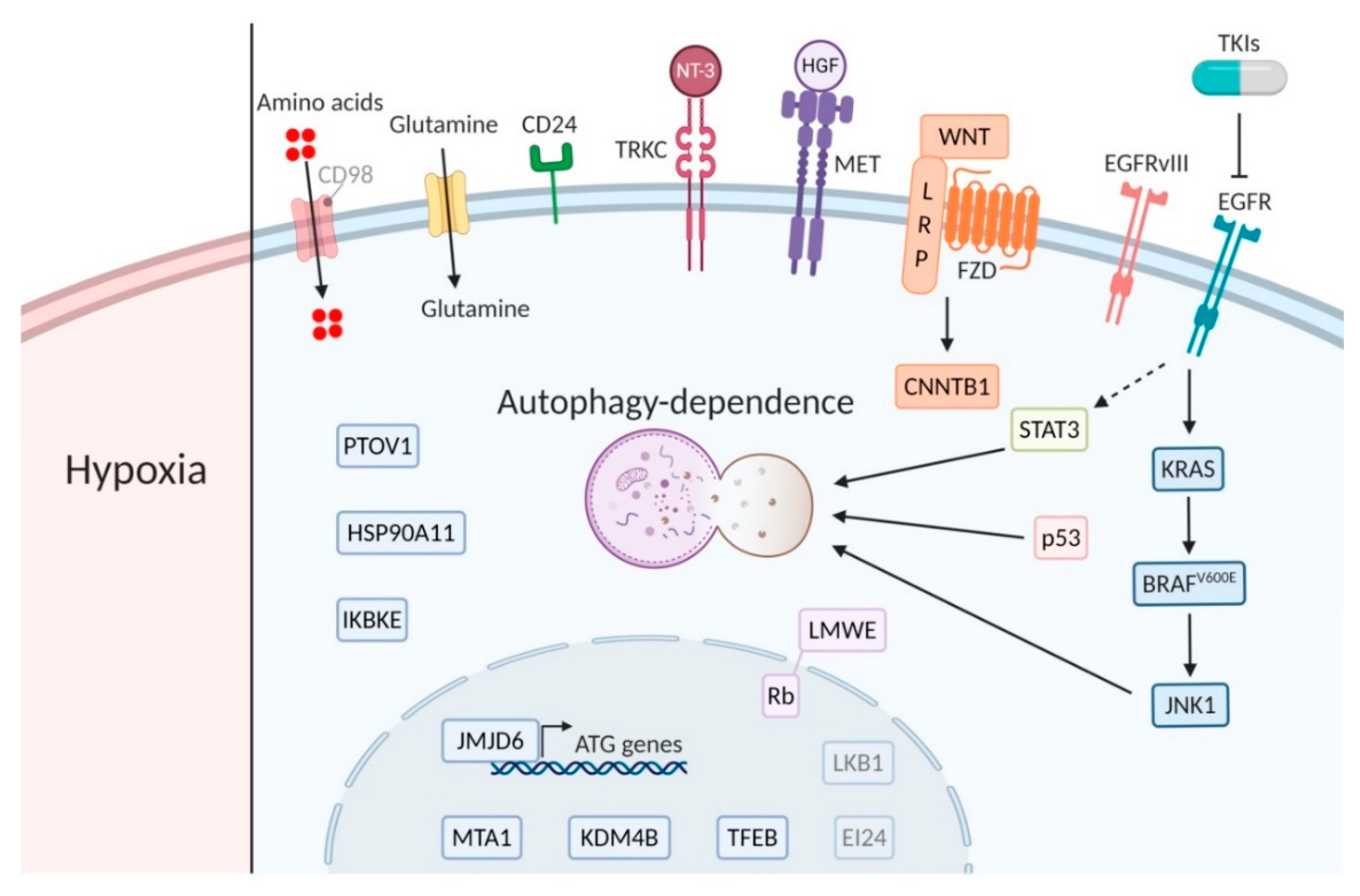 Cancers 12 02463 g002 Cancers 12 02463 g002