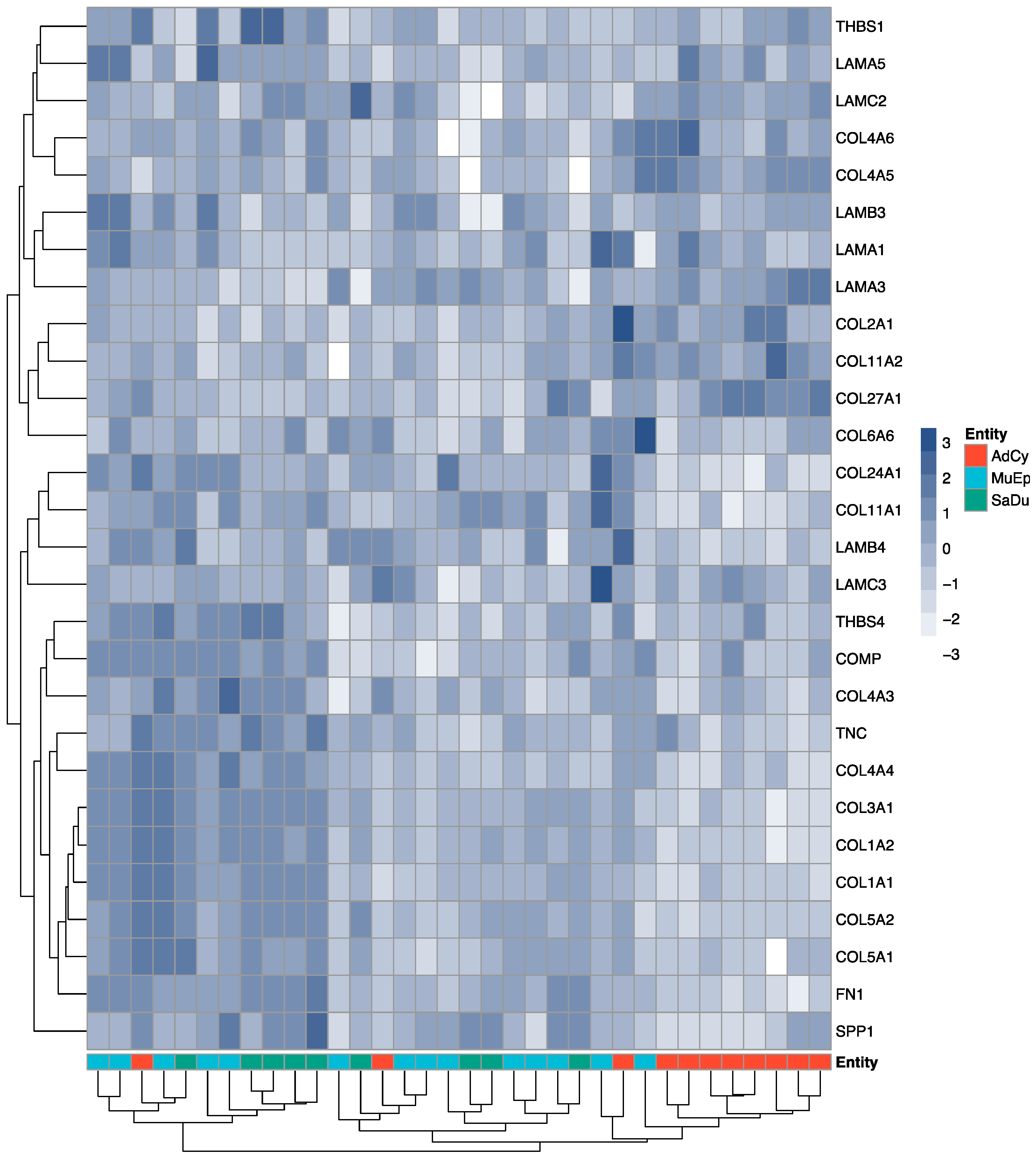 Cancers 12 02466 g001