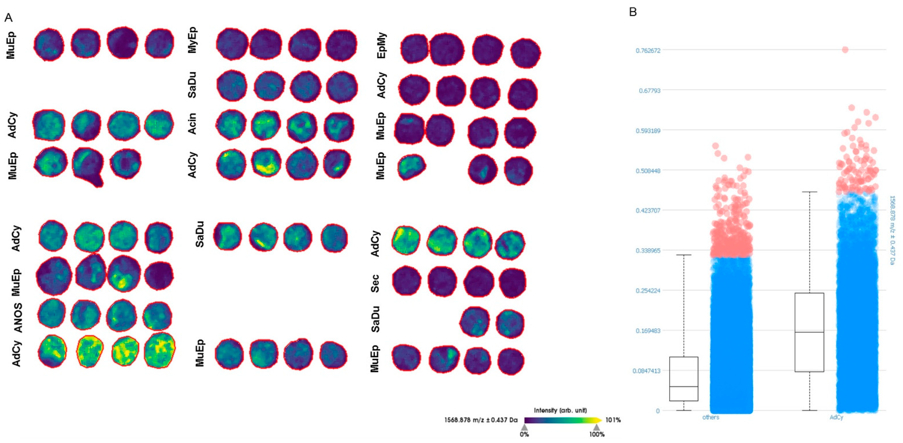 Cancers 12 02466 g004