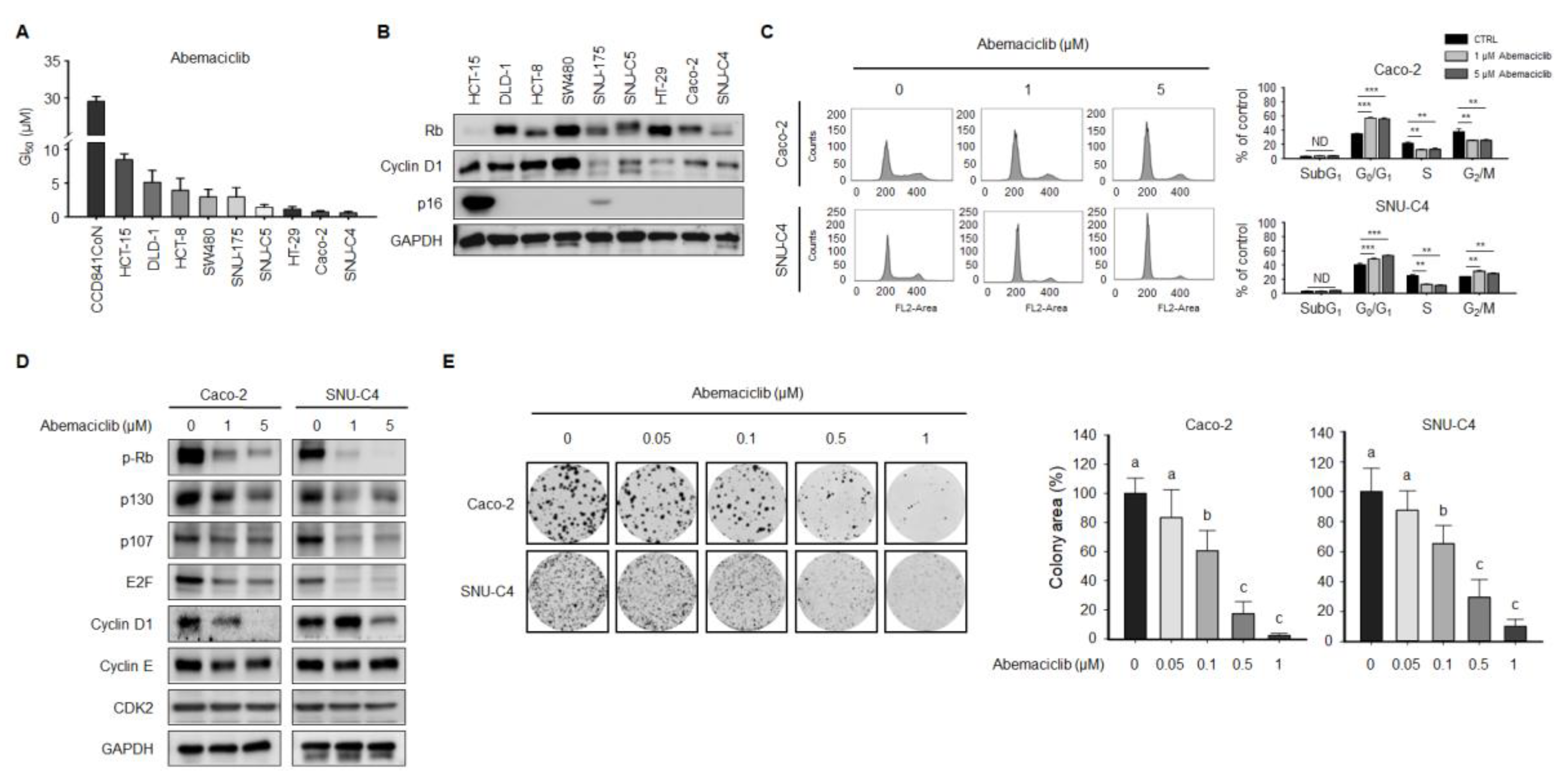 Cancers 12 02500 g001