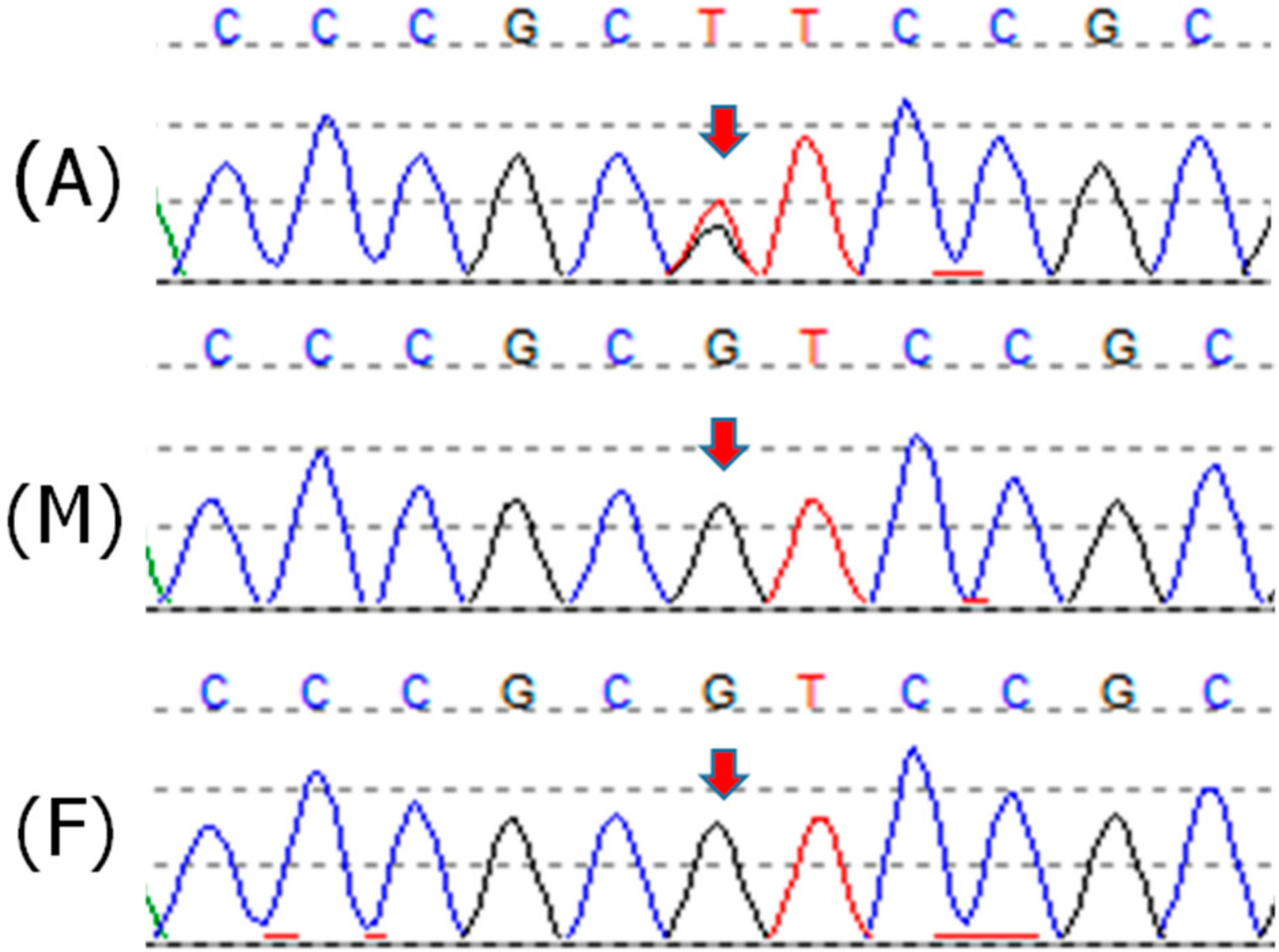Cancers 12 02503 g001 Cancers 12 02503 g001