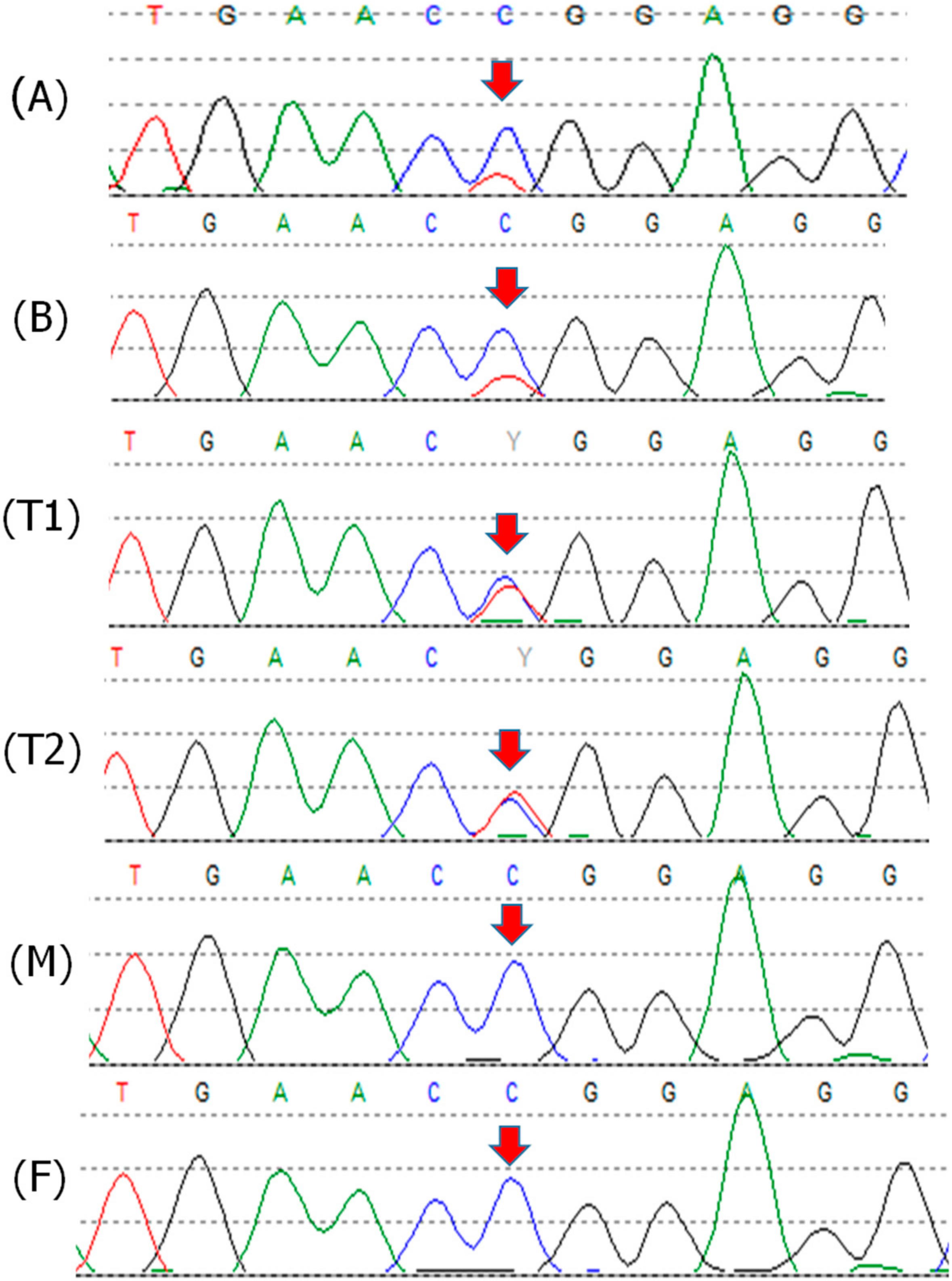 Cancers 12 02503 g003 Cancers 12 02503 g003