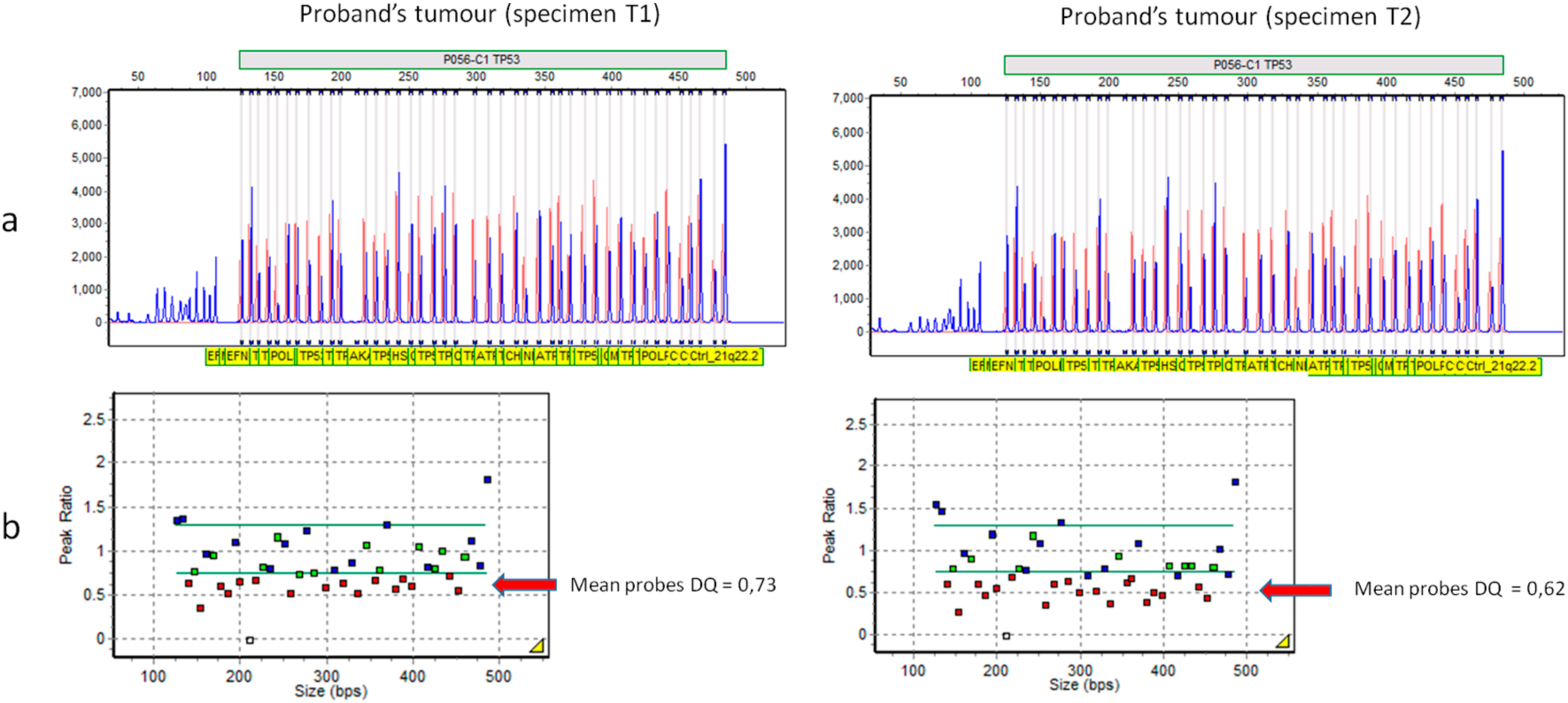 Cancers 12 02503 g005 Cancers 12 02503 g005