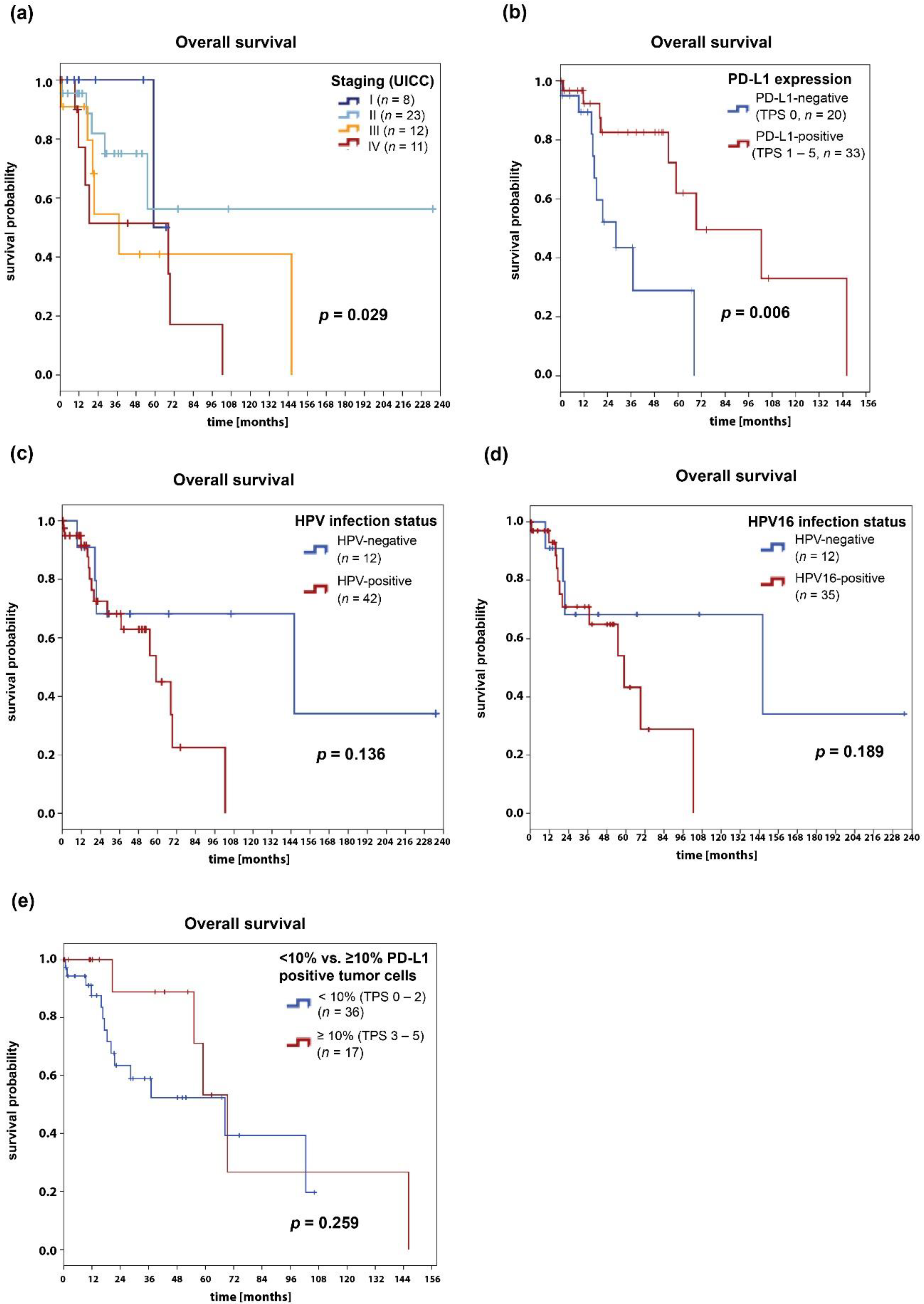 Cancers 12 02516 g004 Cancers 12 02516 g004