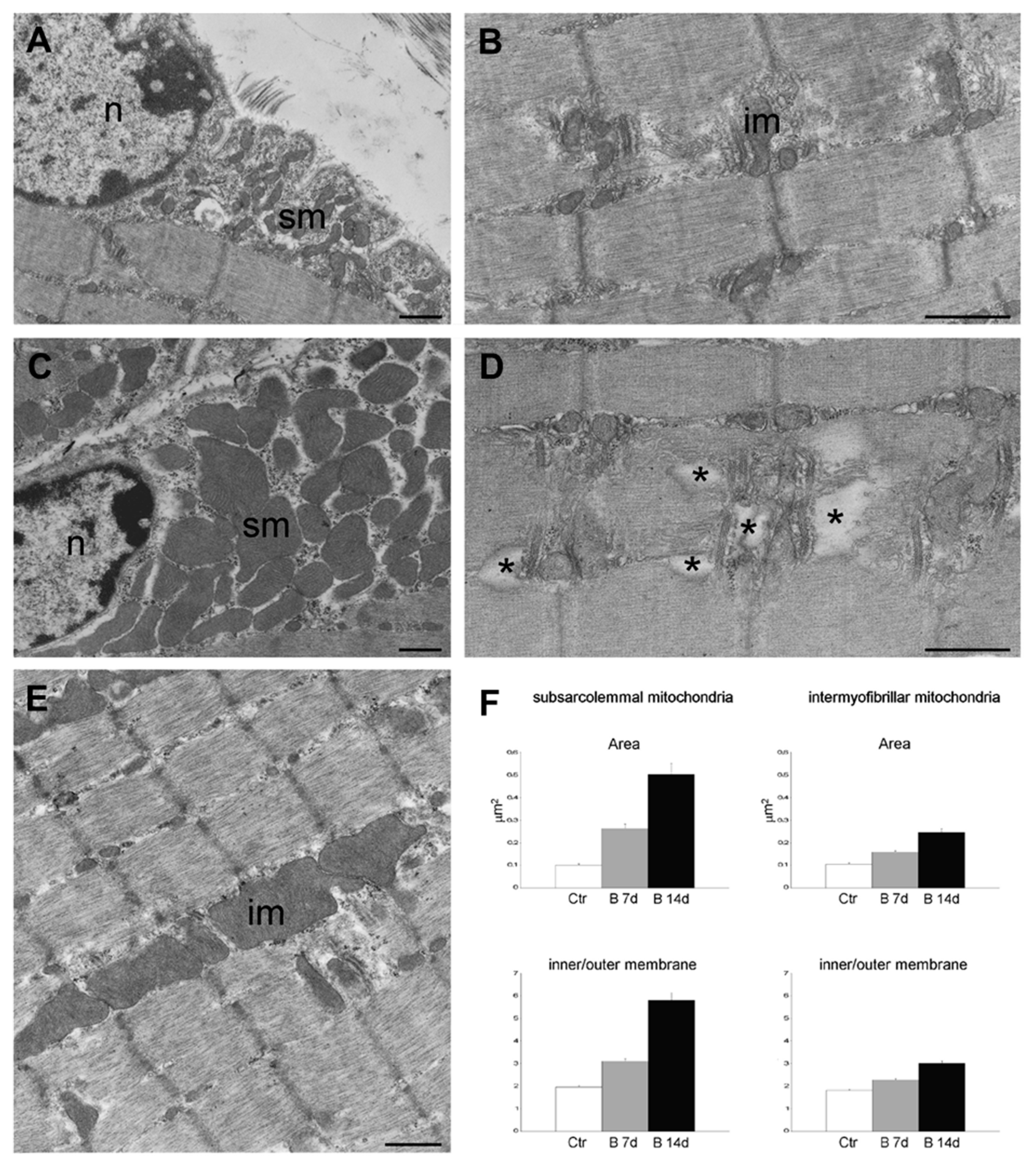 Cancers 12 02540 g005