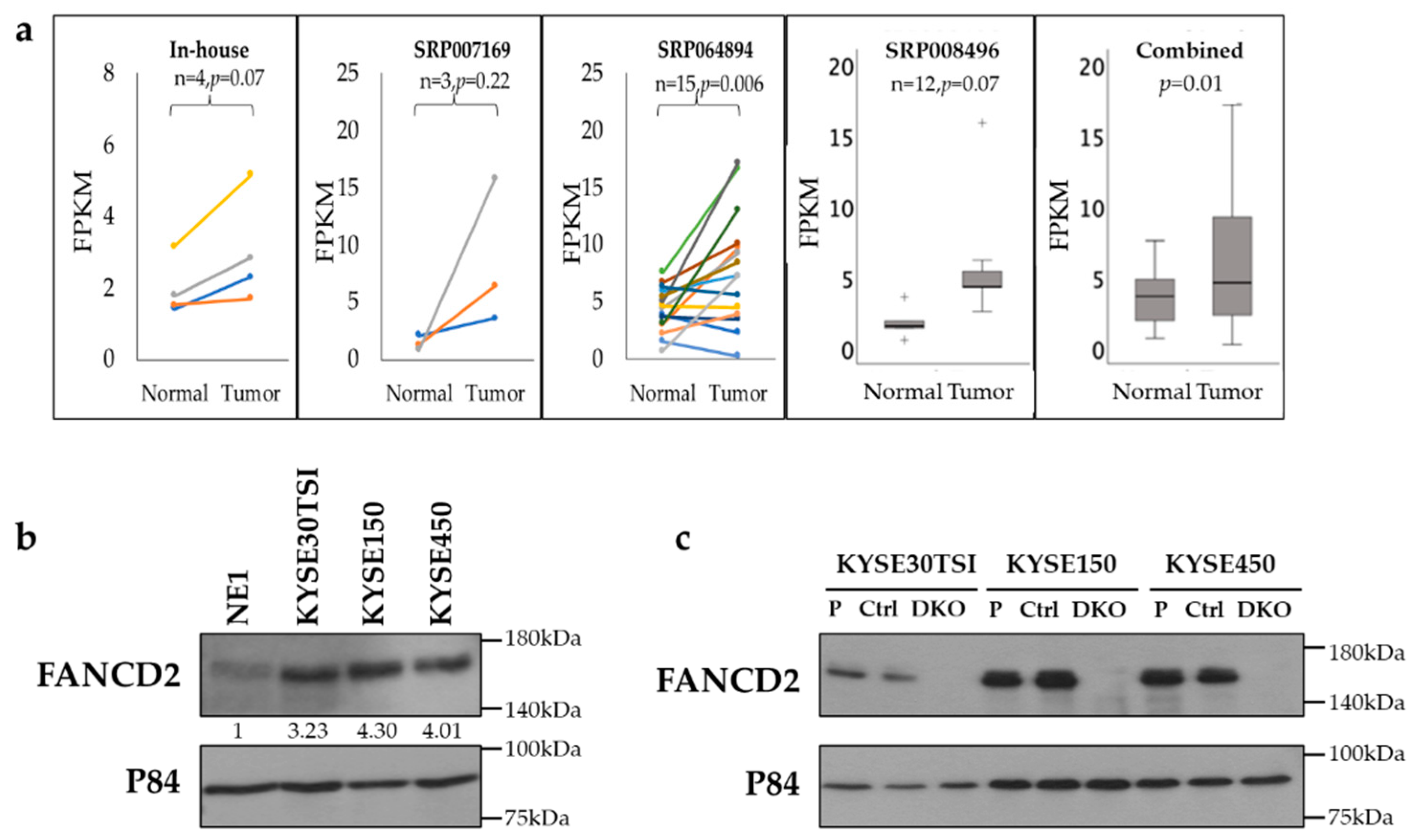 Cancers 12 02545 g001