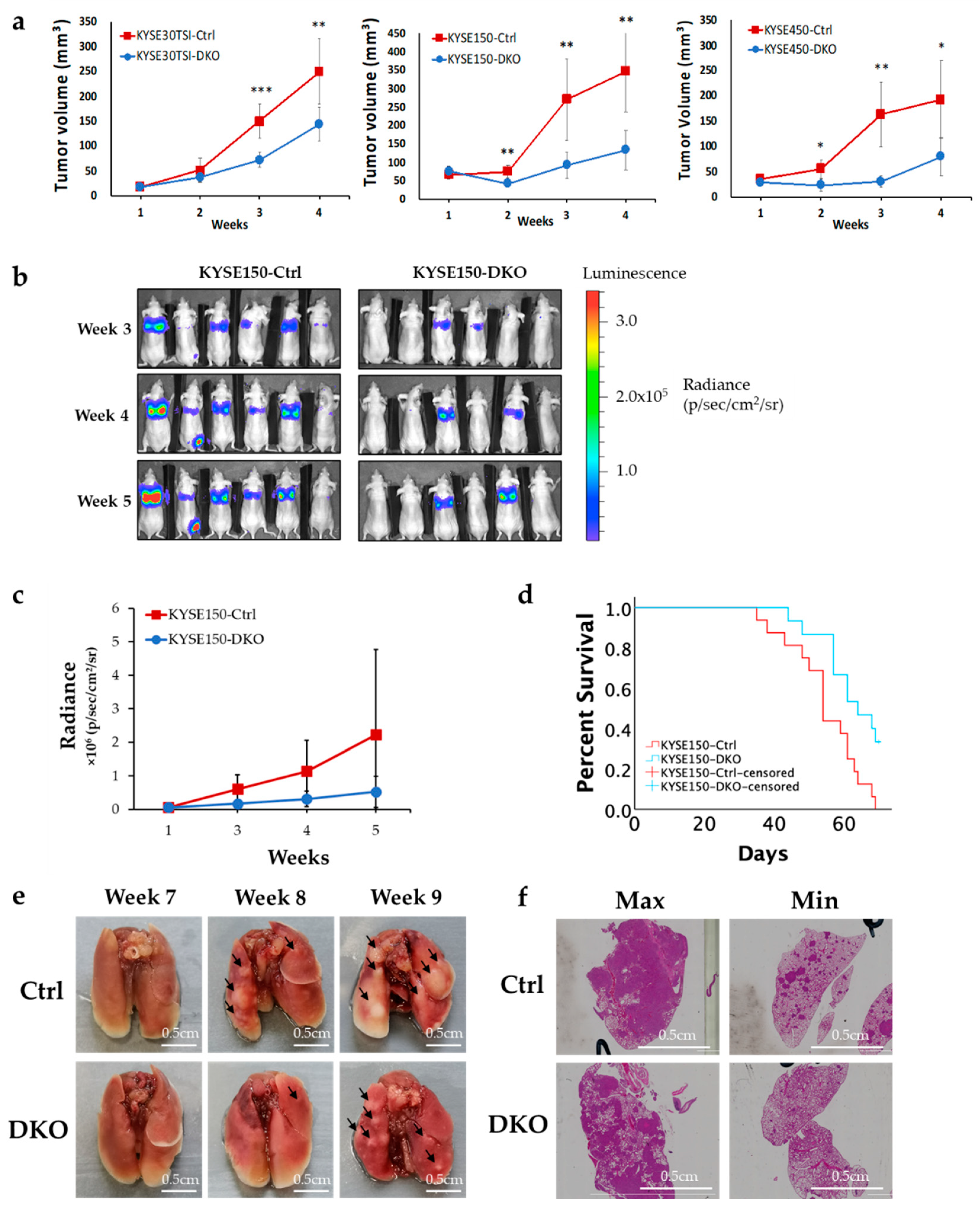 Cancers 12 02545 g002