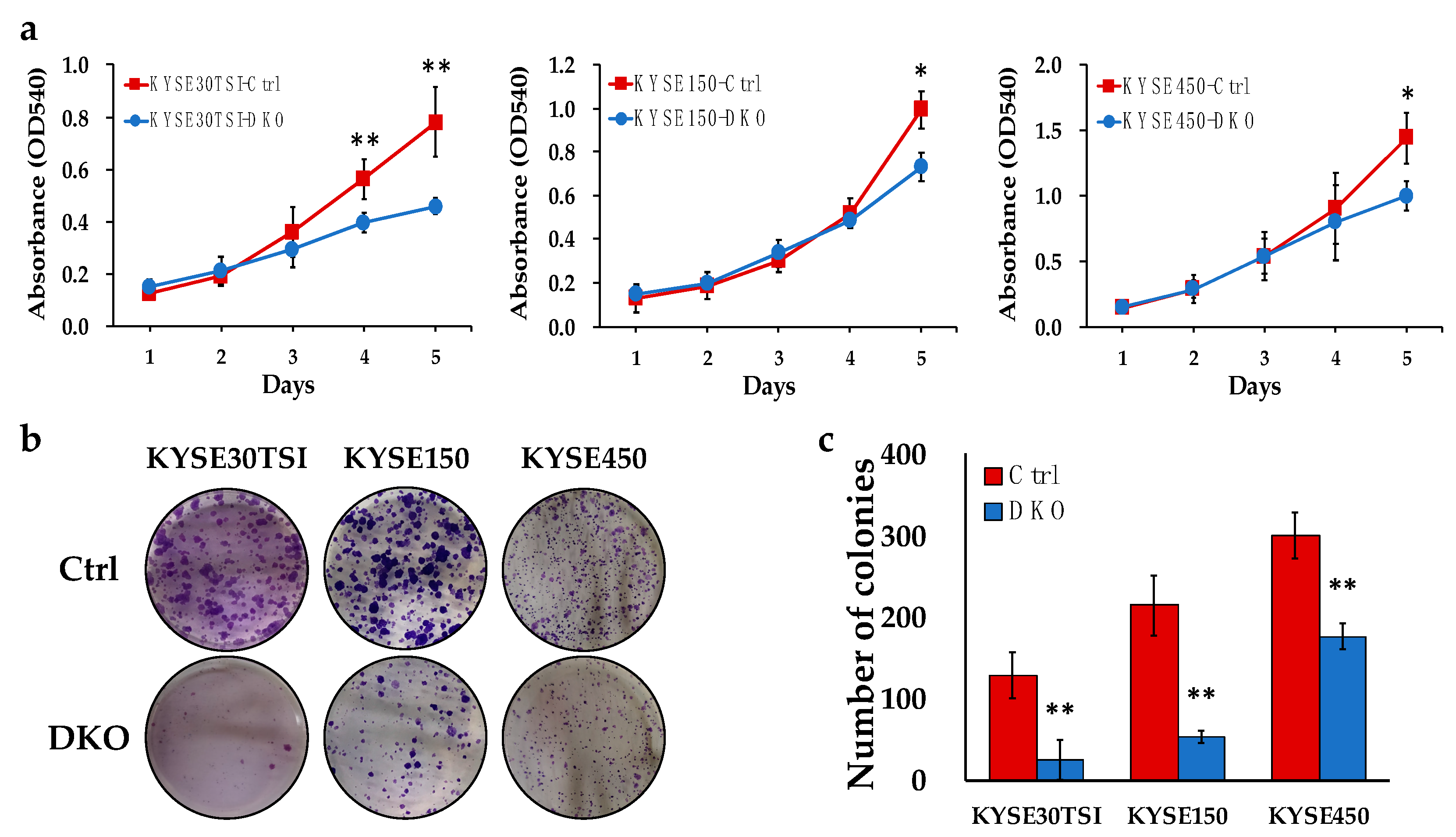 Cancers 12 02545 g003