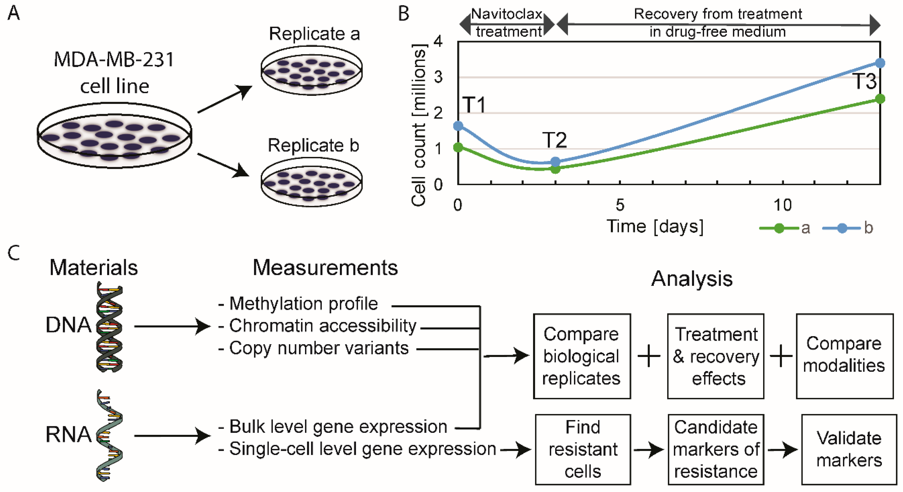 Cancers 12 02551 g001
