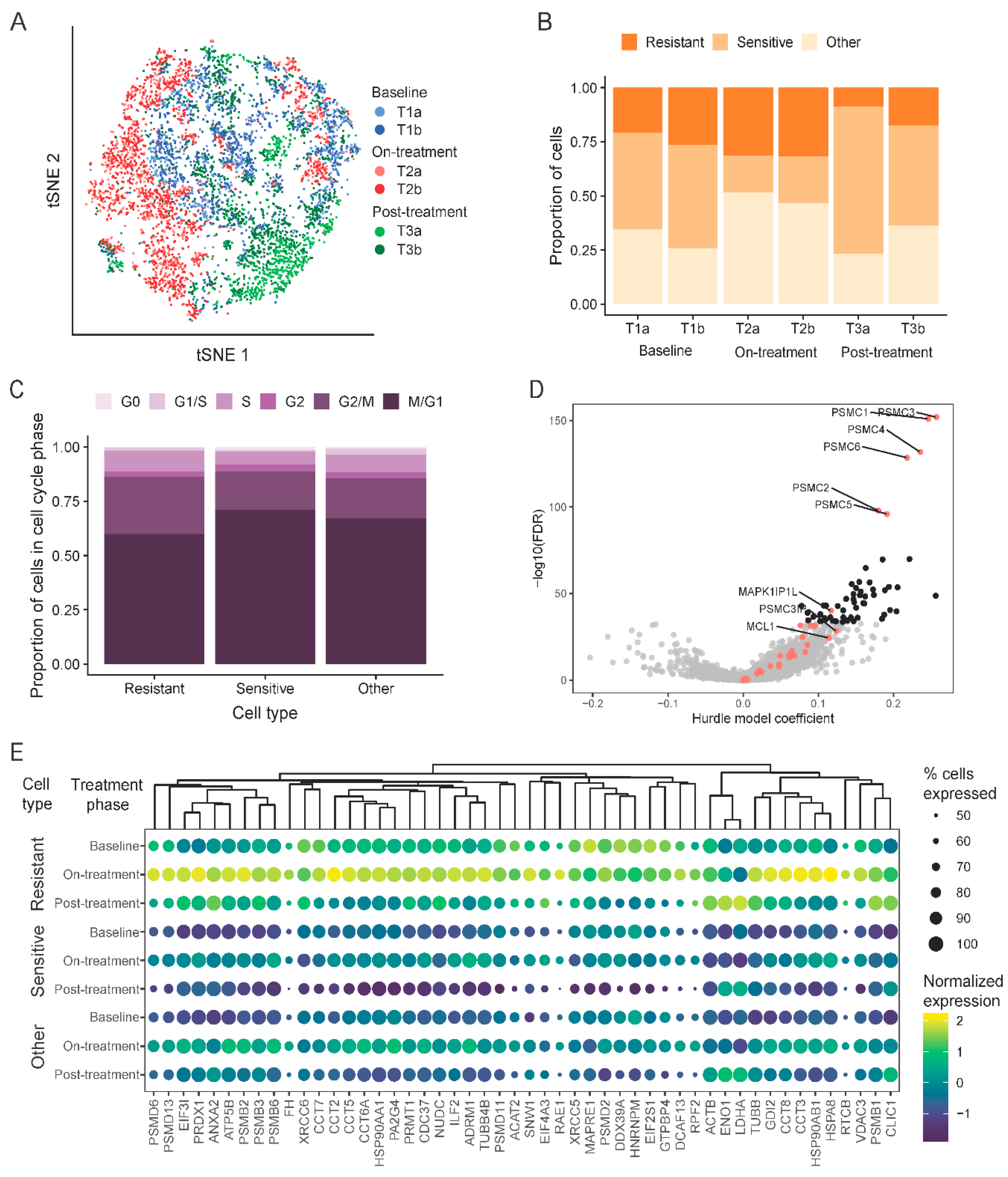 Cancers 12 02551 g005