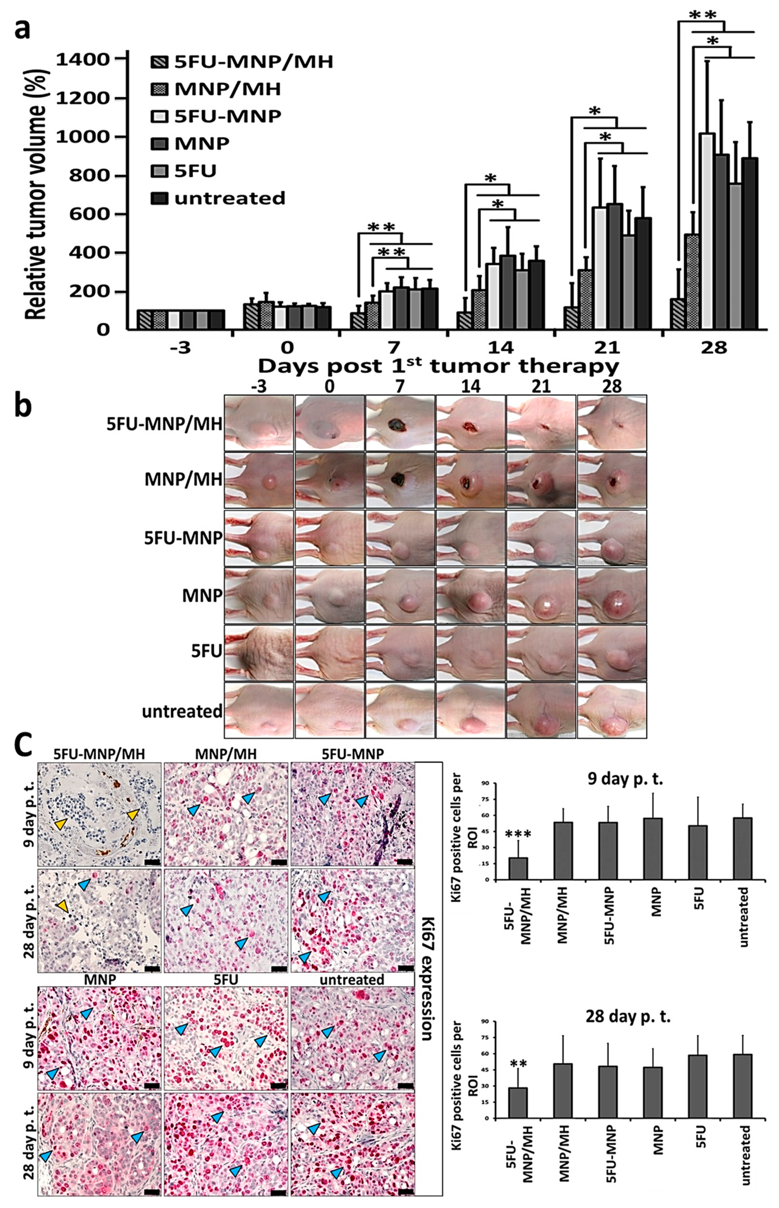 Cancers 12 02562 g002