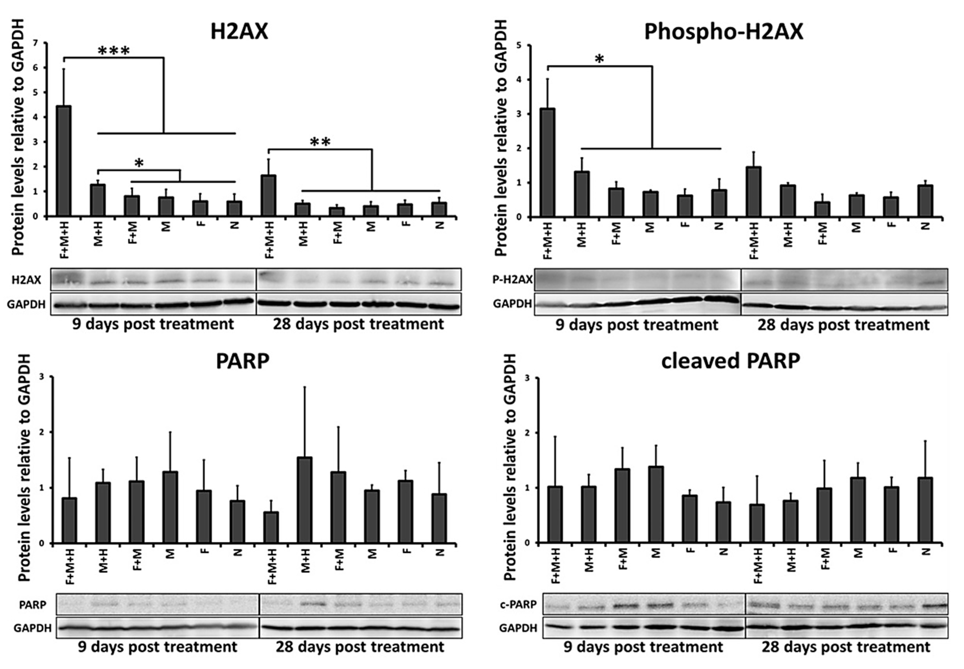 Cancers 12 02562 g003