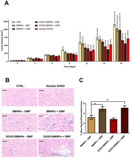 Cancers Free Full Text Biomimetic Magnetite Nanoparticles As Targeted Drug Nanocarriers And Mediators Of Hyperthermia In An Experimental Cancer Model Html