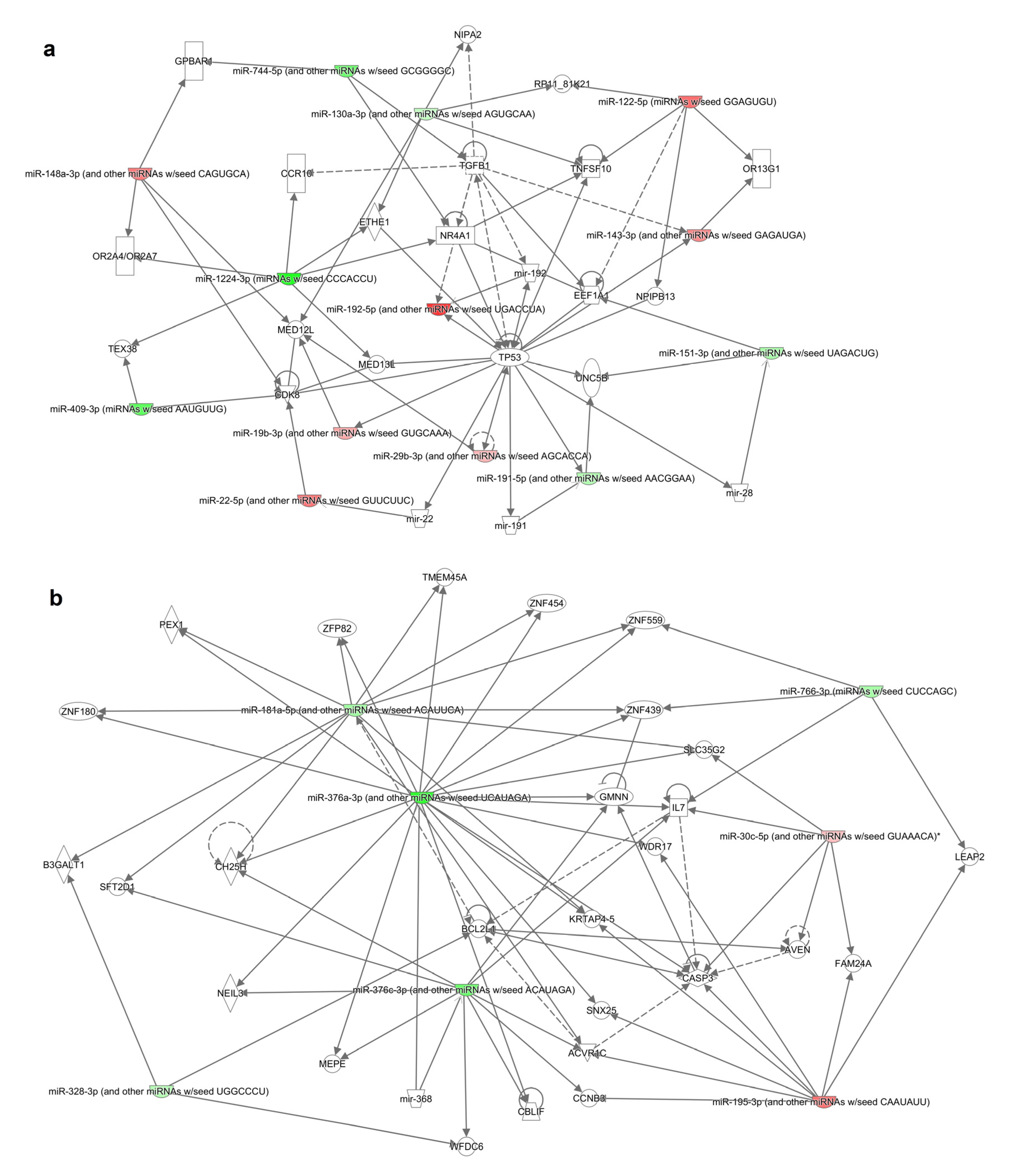 Cancers 12 02569 g003 Cancers 12 02569 g003