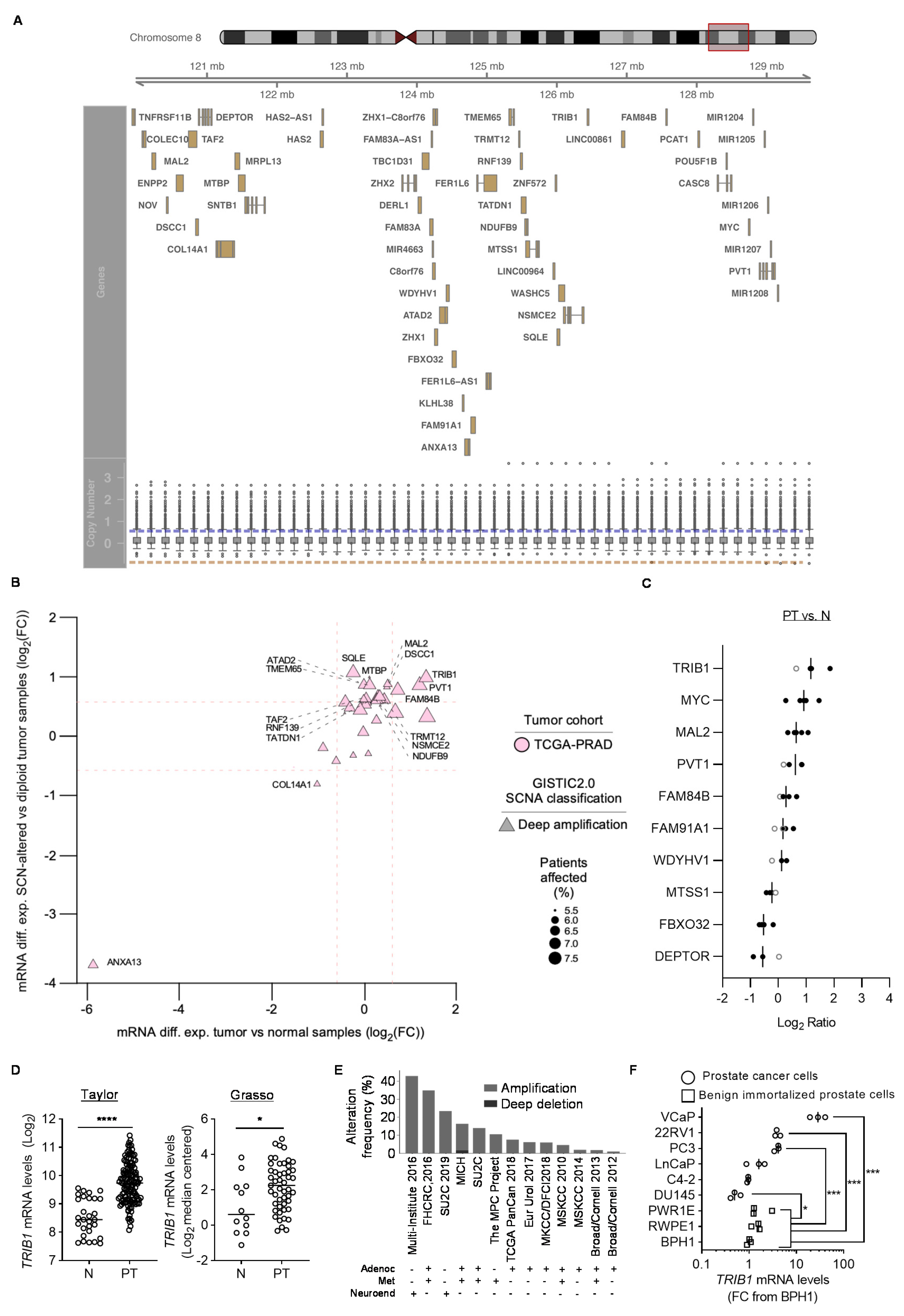 Cancers | Free Full-Text | Genomic and Functional Regulation of