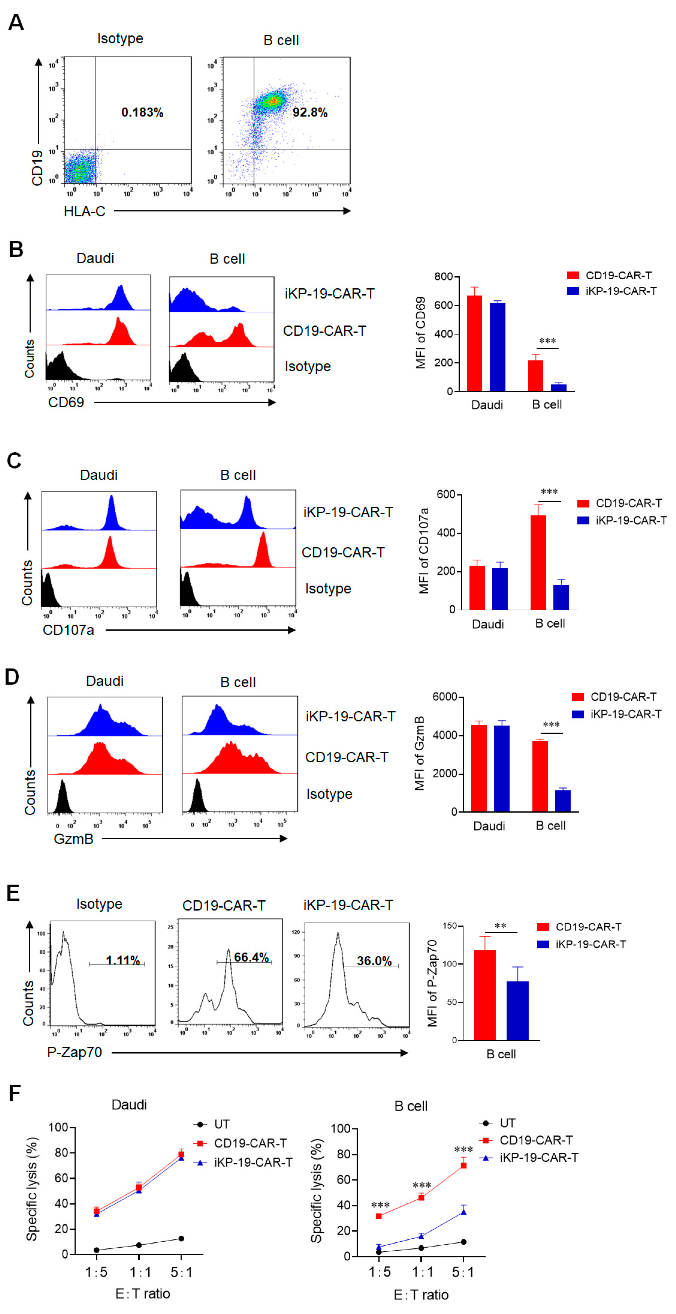 Cancers 12 02612 g004 Cancers 12 02612 g004