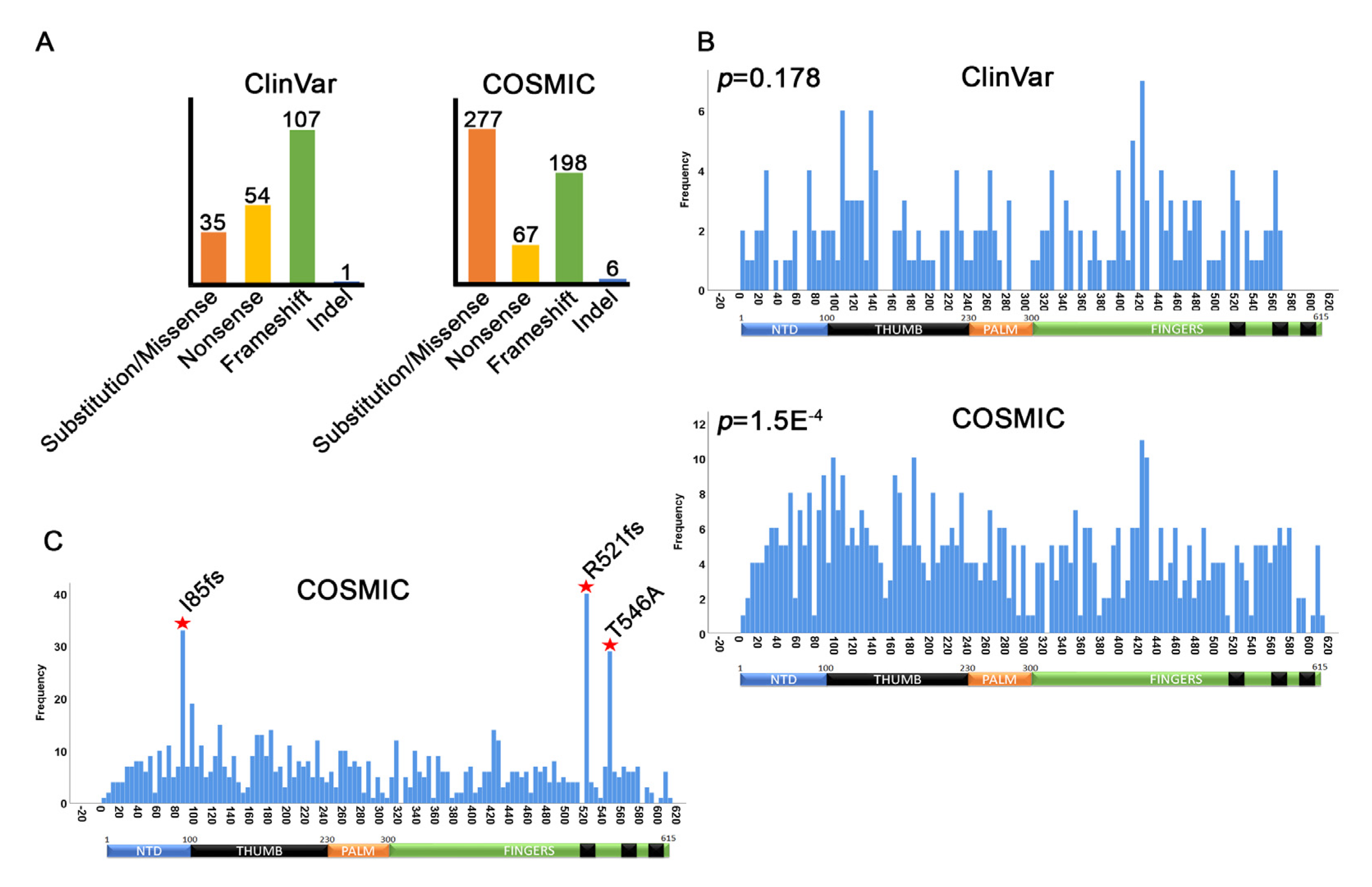 Cancers 12 02616 g003 Cancers 12 02616 g003