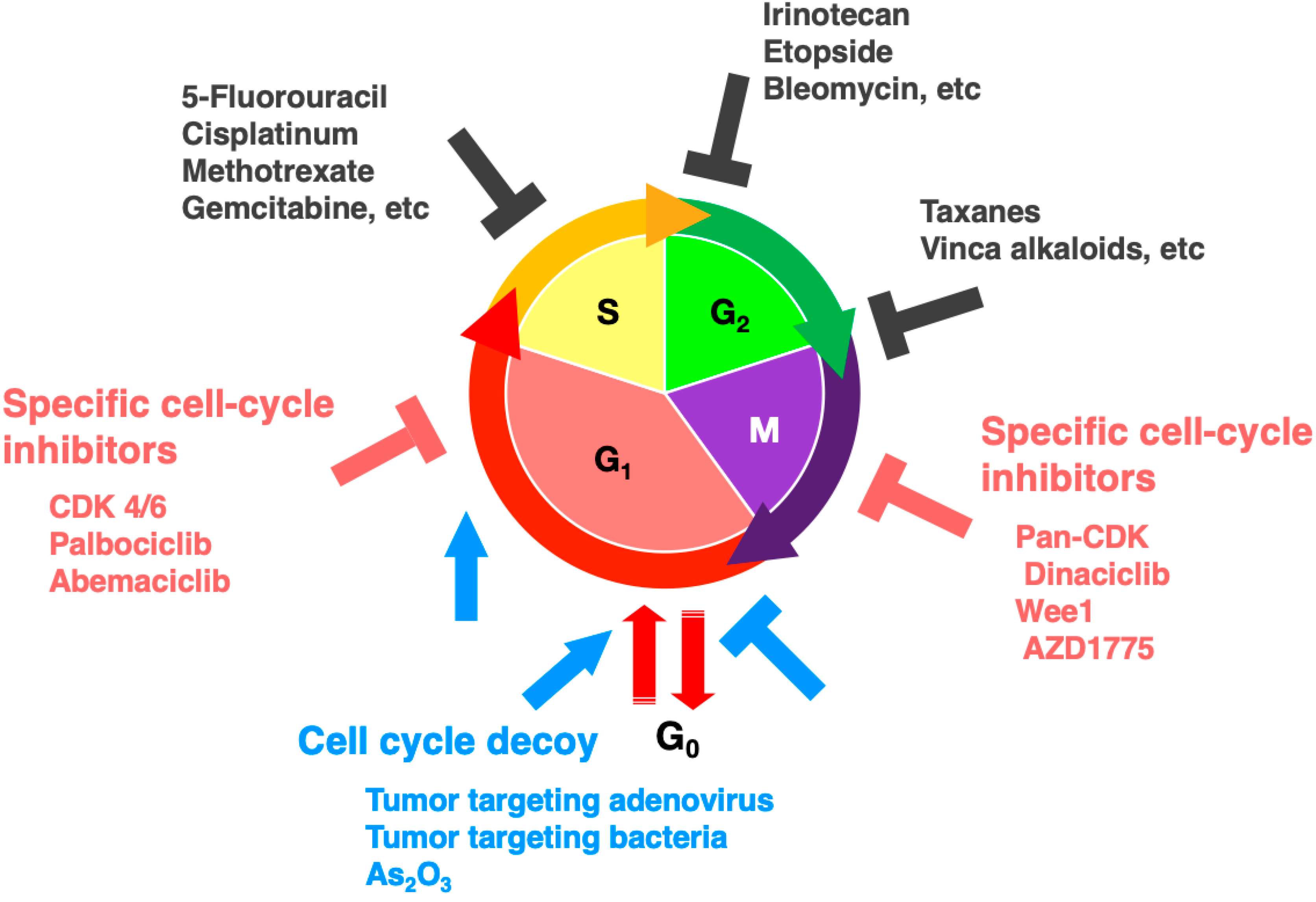 Cancers 12 02655 g001