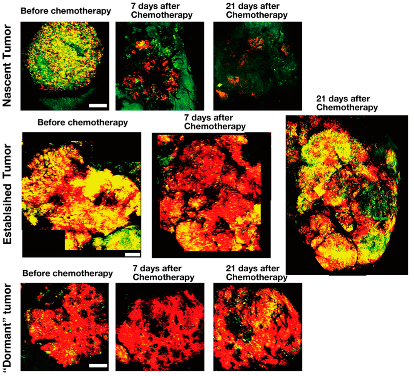 Cancers 12 02655 g006