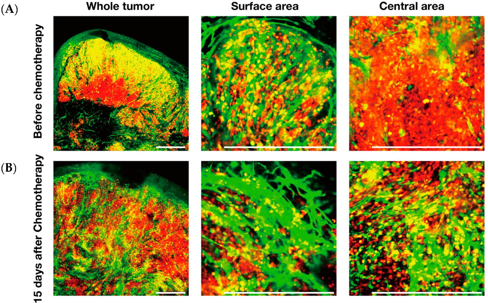 Cancers 12 02655 g008