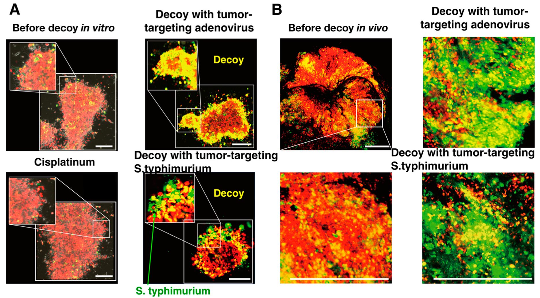 Cancers 12 02655 g009