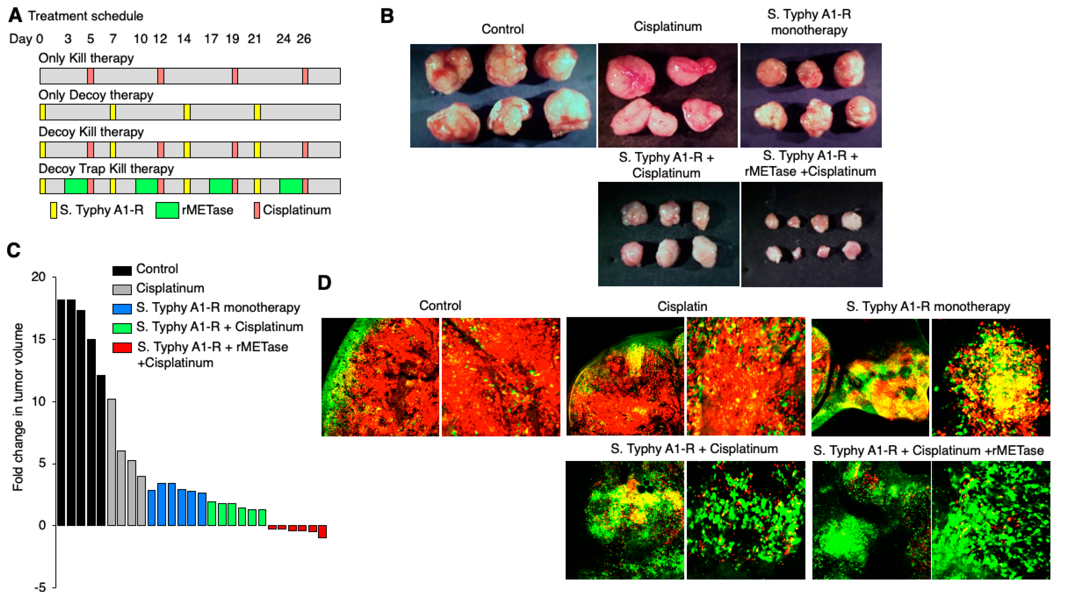 Cancers 12 02655 g010