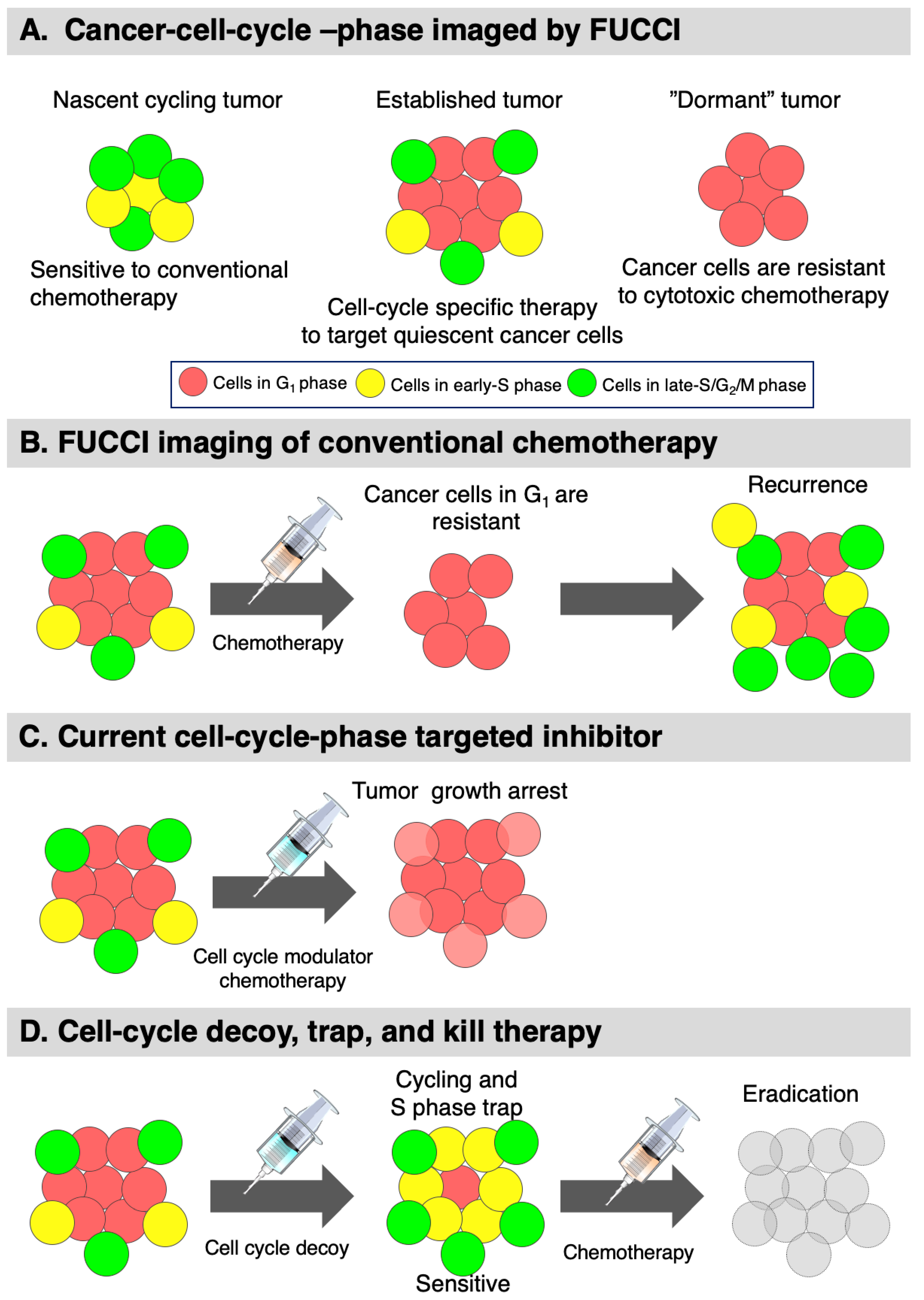 Cancers 12 02655 g011