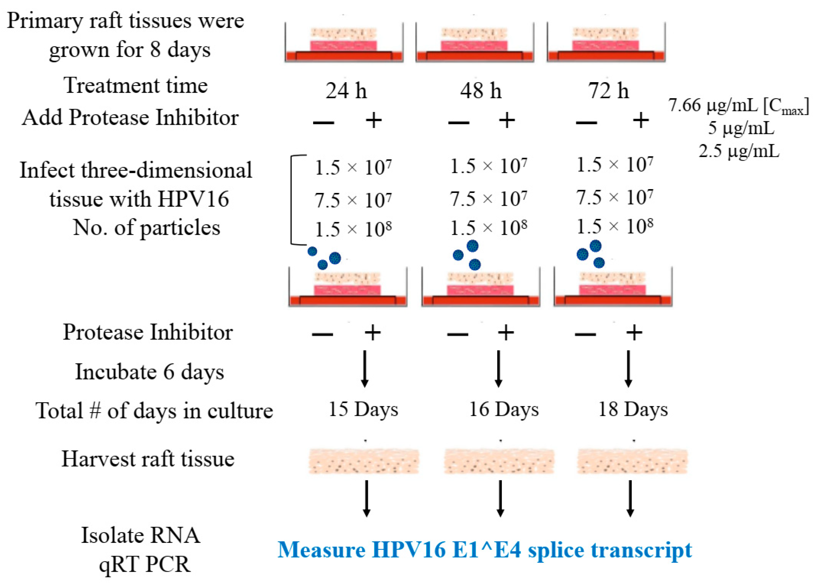 Cancers 12 02664 g002 Cancers 12 02664 g002