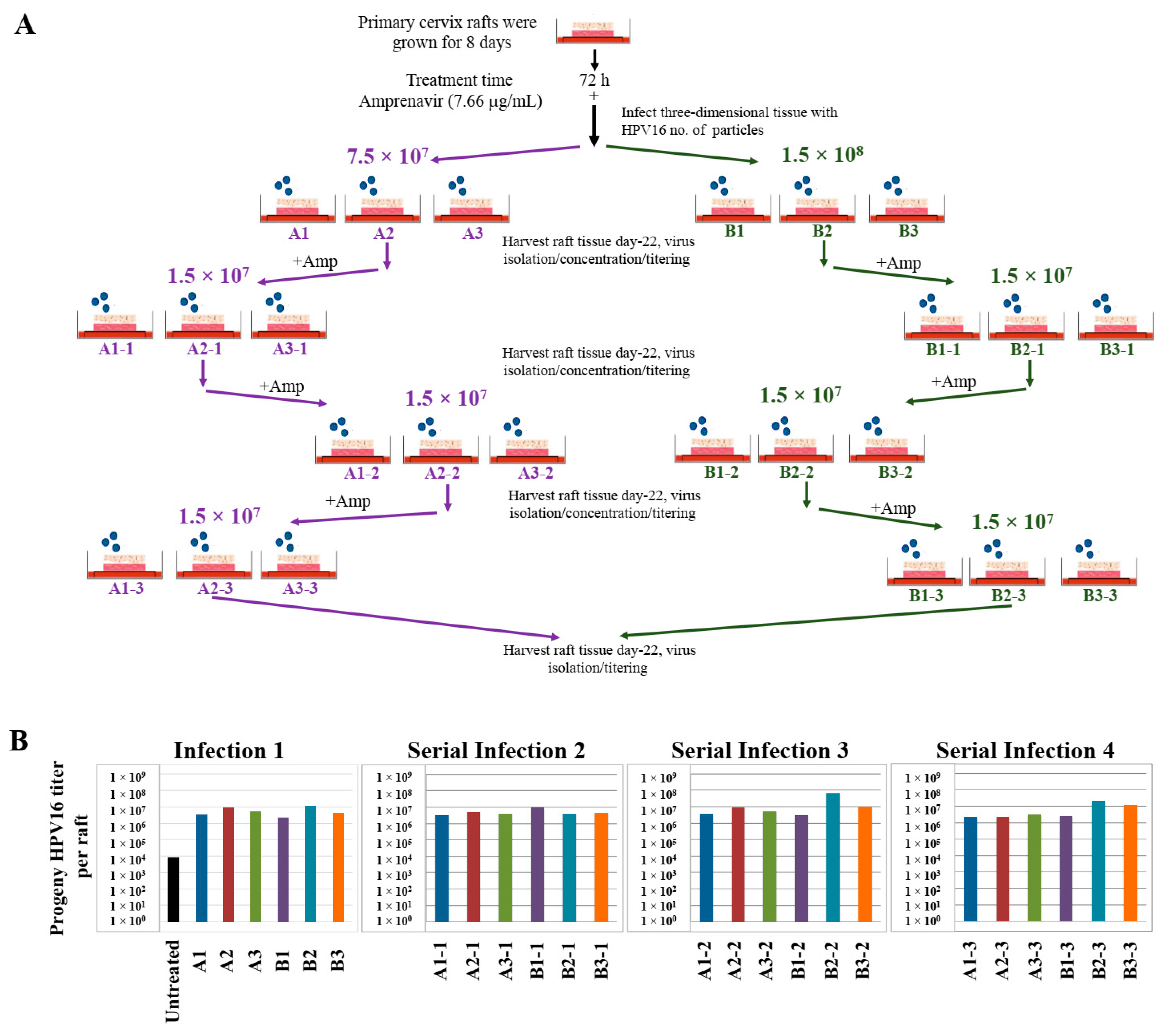 Cancers 12 02664 g020 Cancers 12 02664 g020