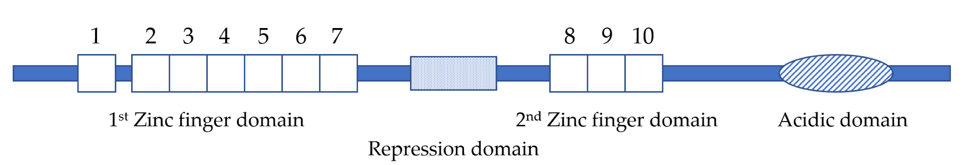 Cancers 12 02667 g001