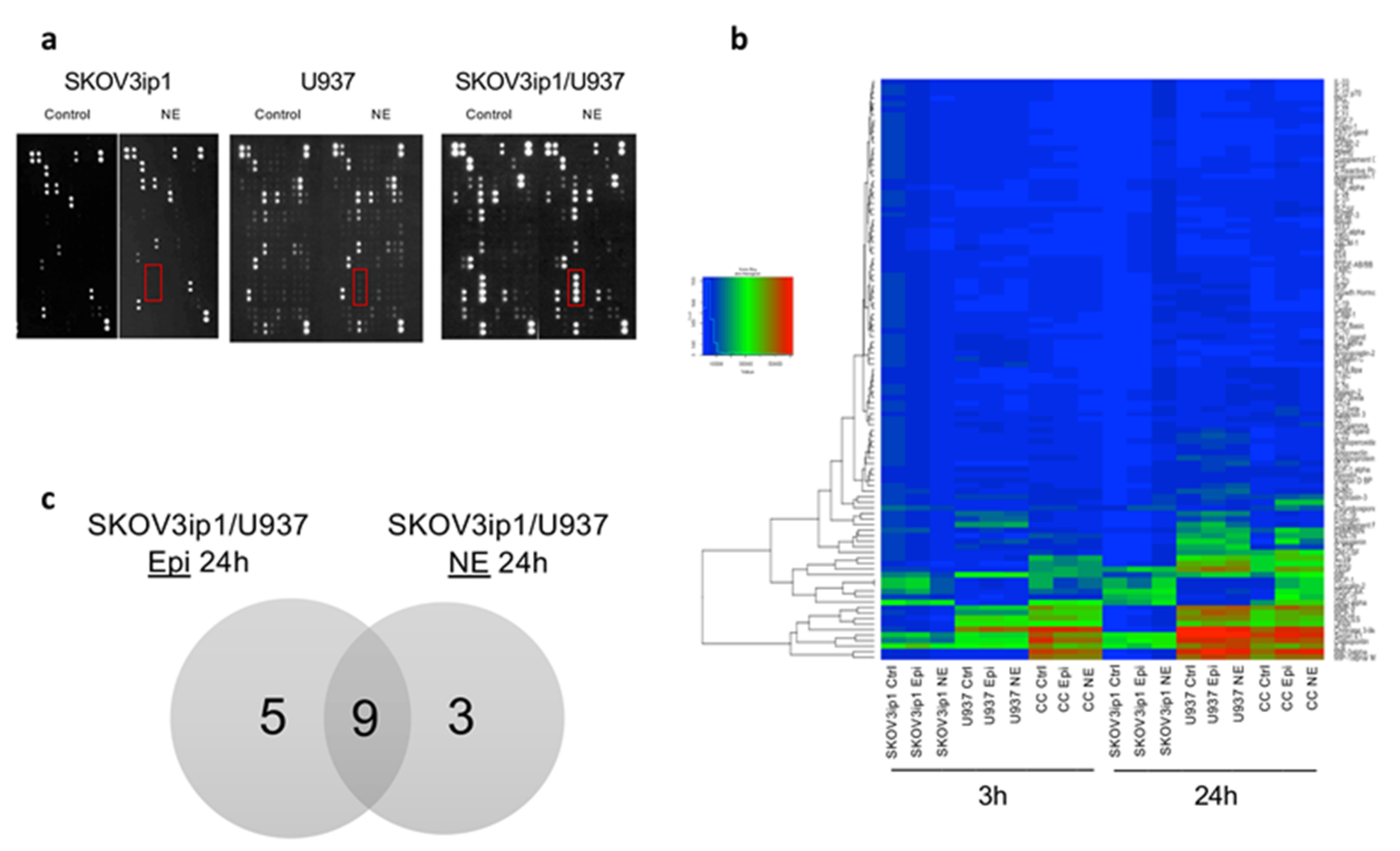 Cancers 12 02671 g001
