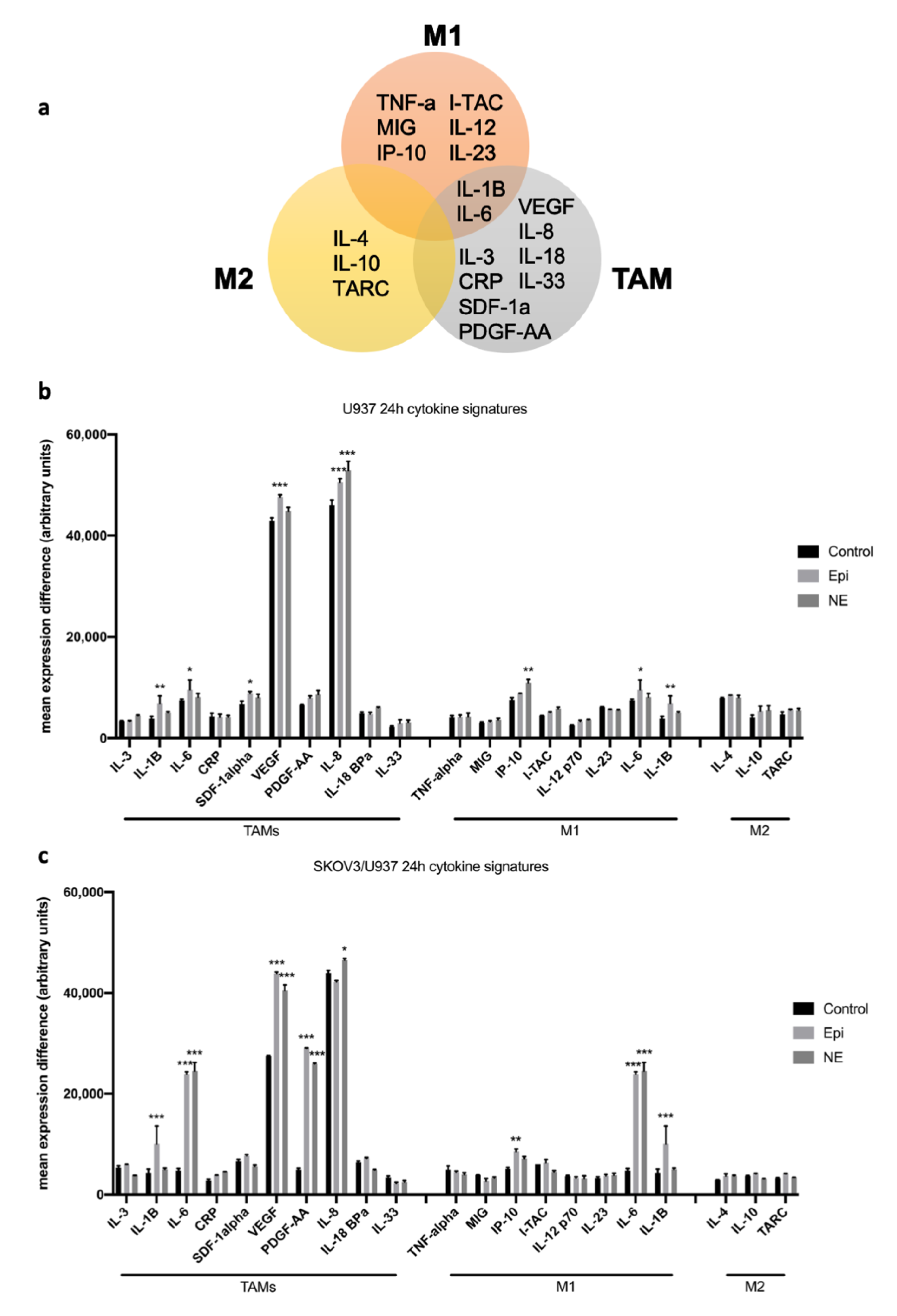 Cancers 12 02671 g003