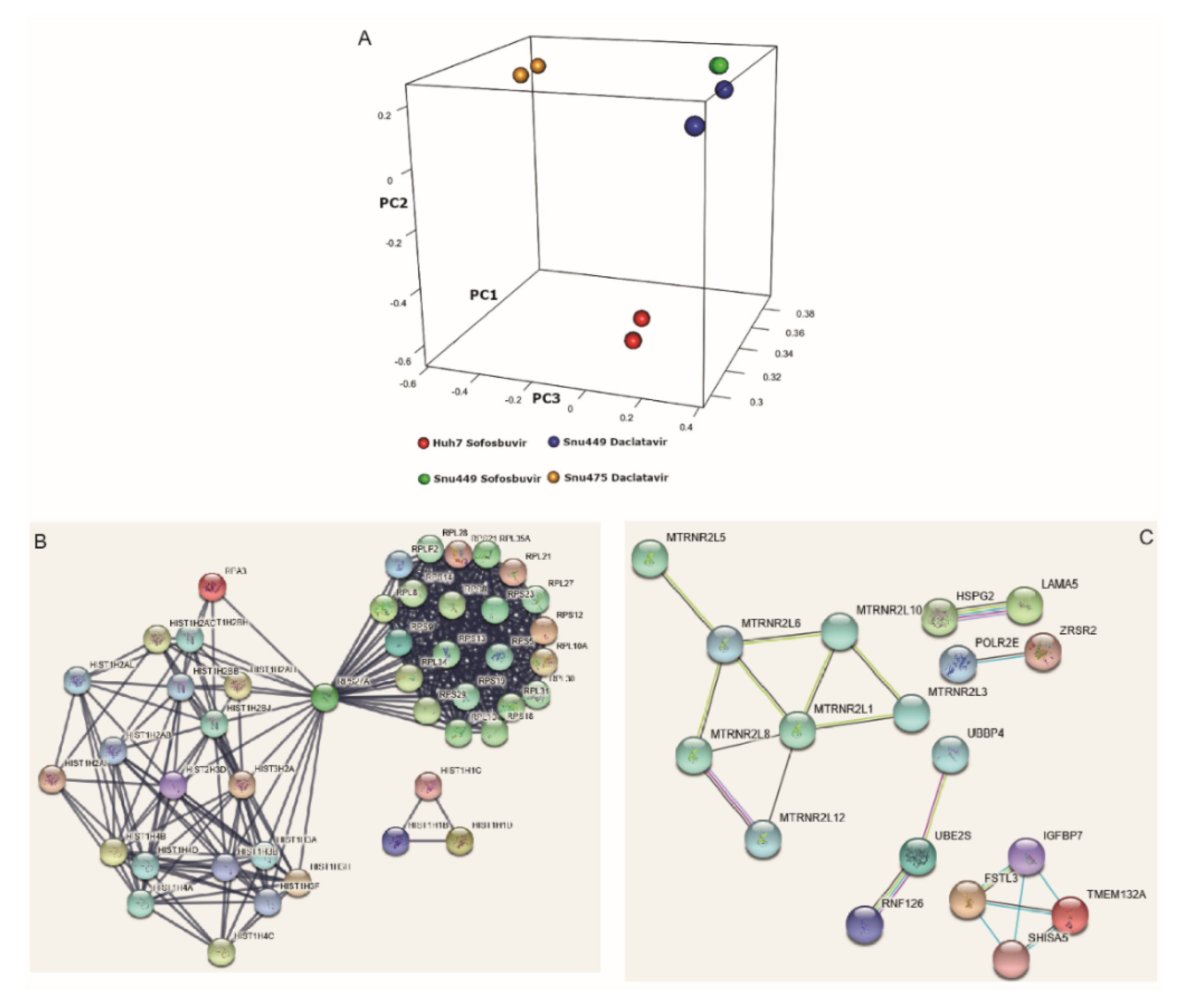 Cancers 12 02674 g003 Cancers 12 02674 g003