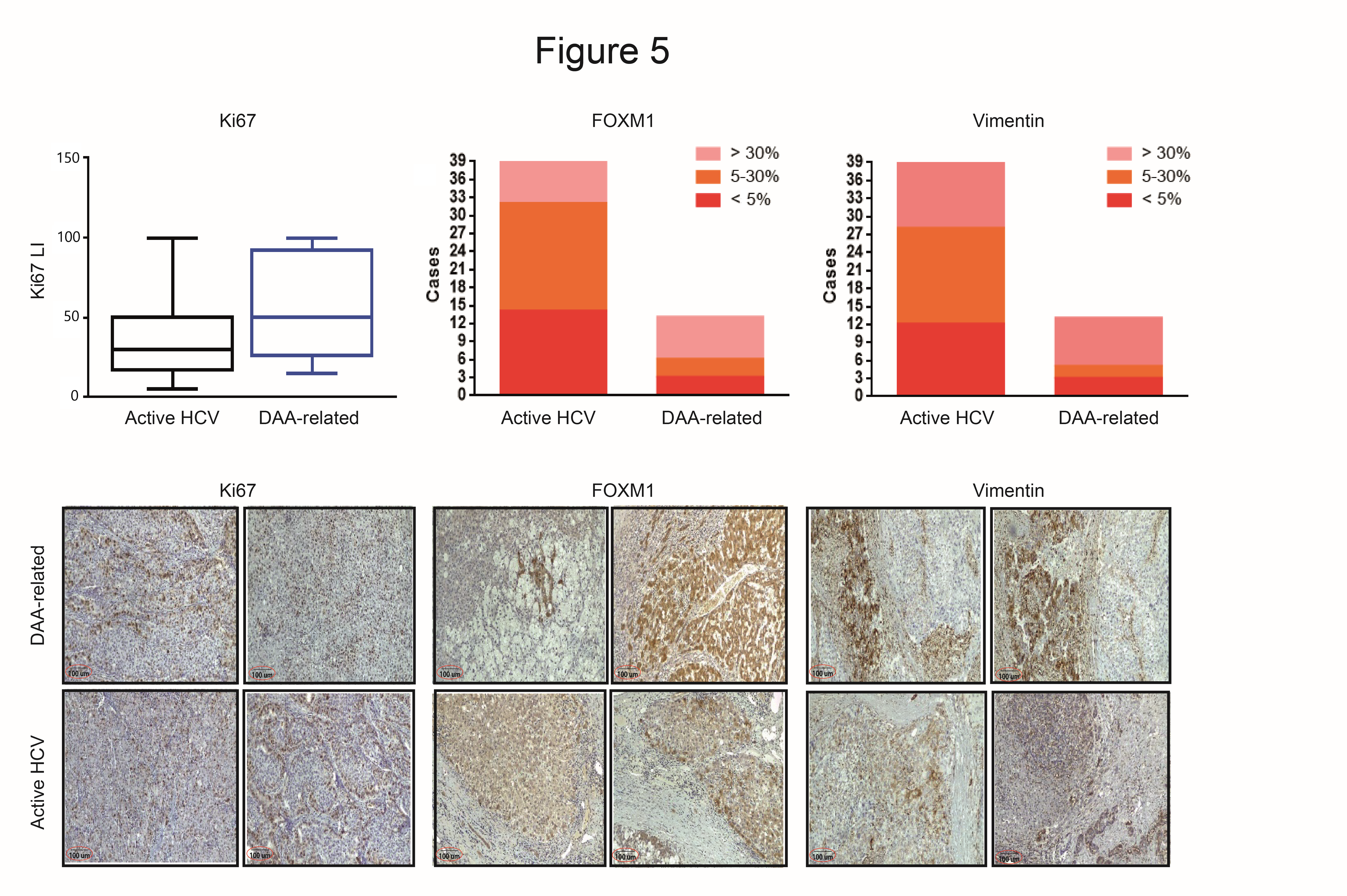 Cancers 12 02674 g005 Cancers 12 02674 g005