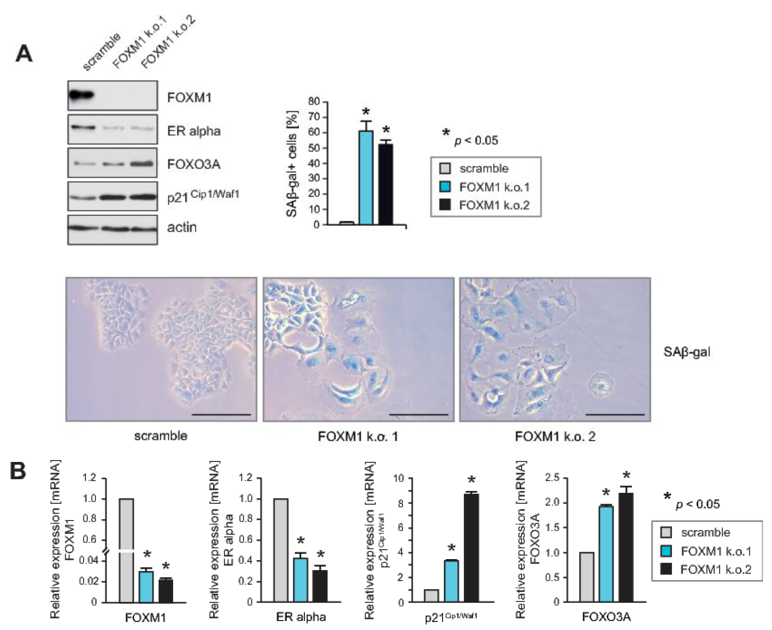 Cancers 12 02689 g002