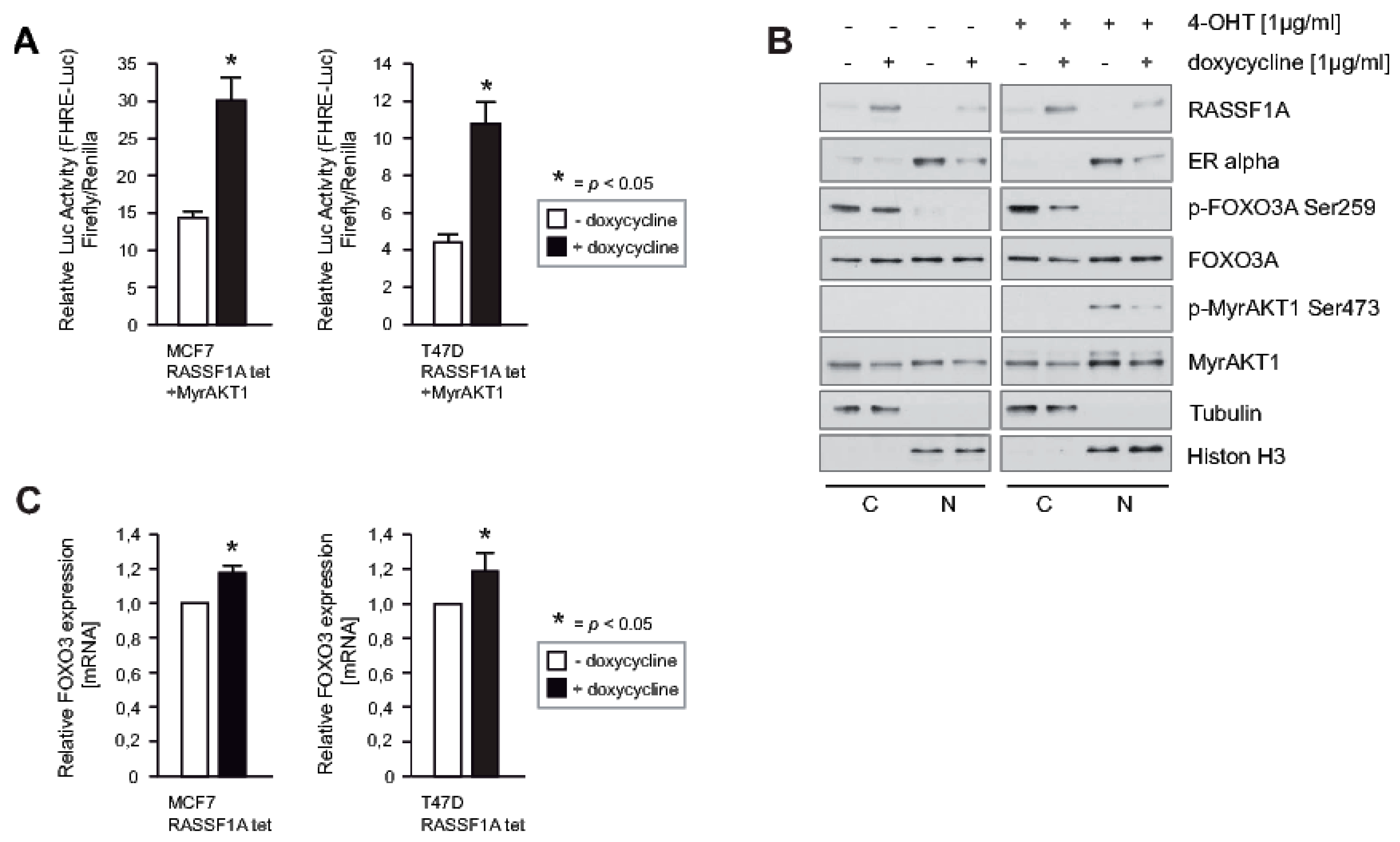 Cancers 12 02689 g005
