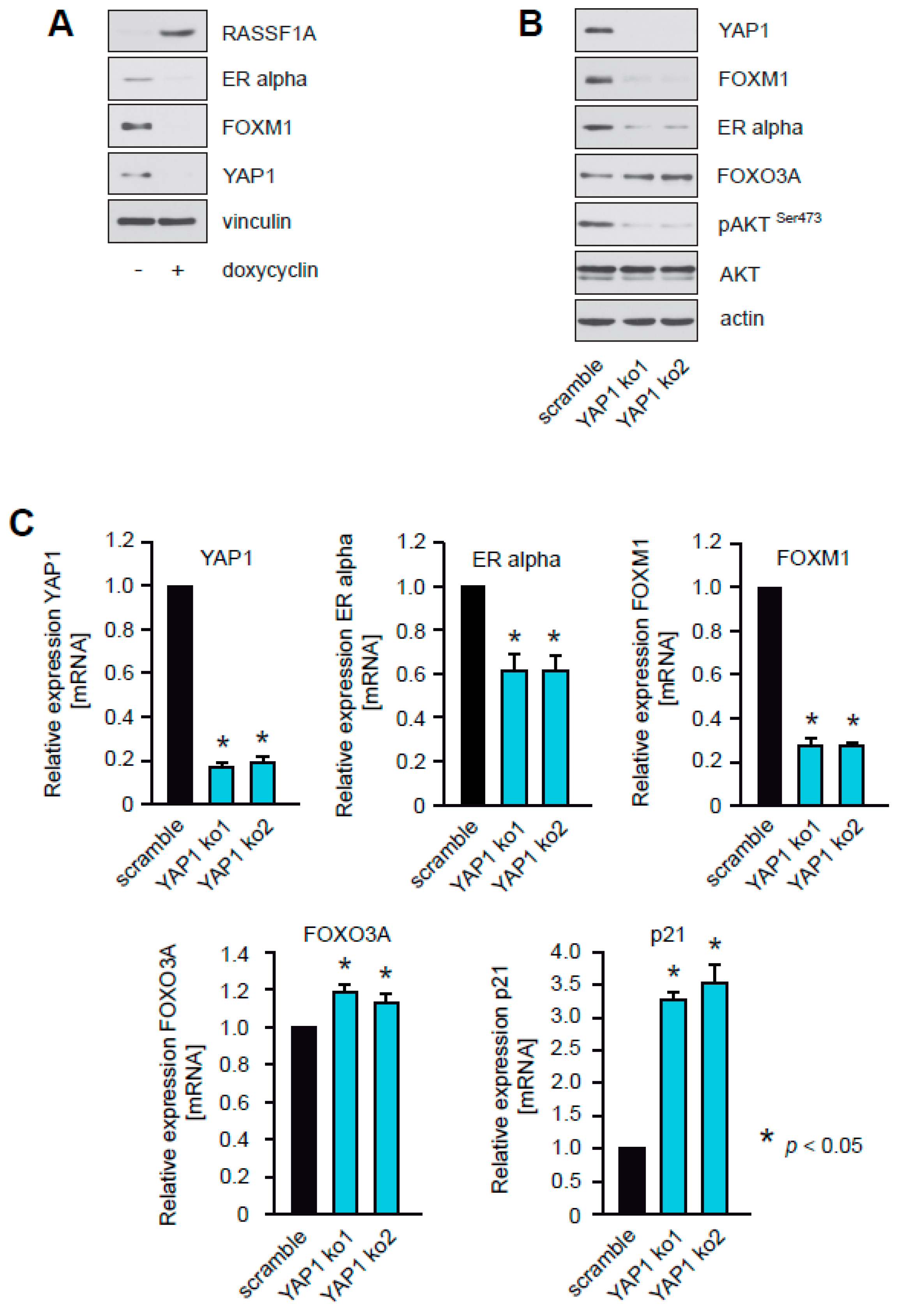 Cancers 12 02689 g008a