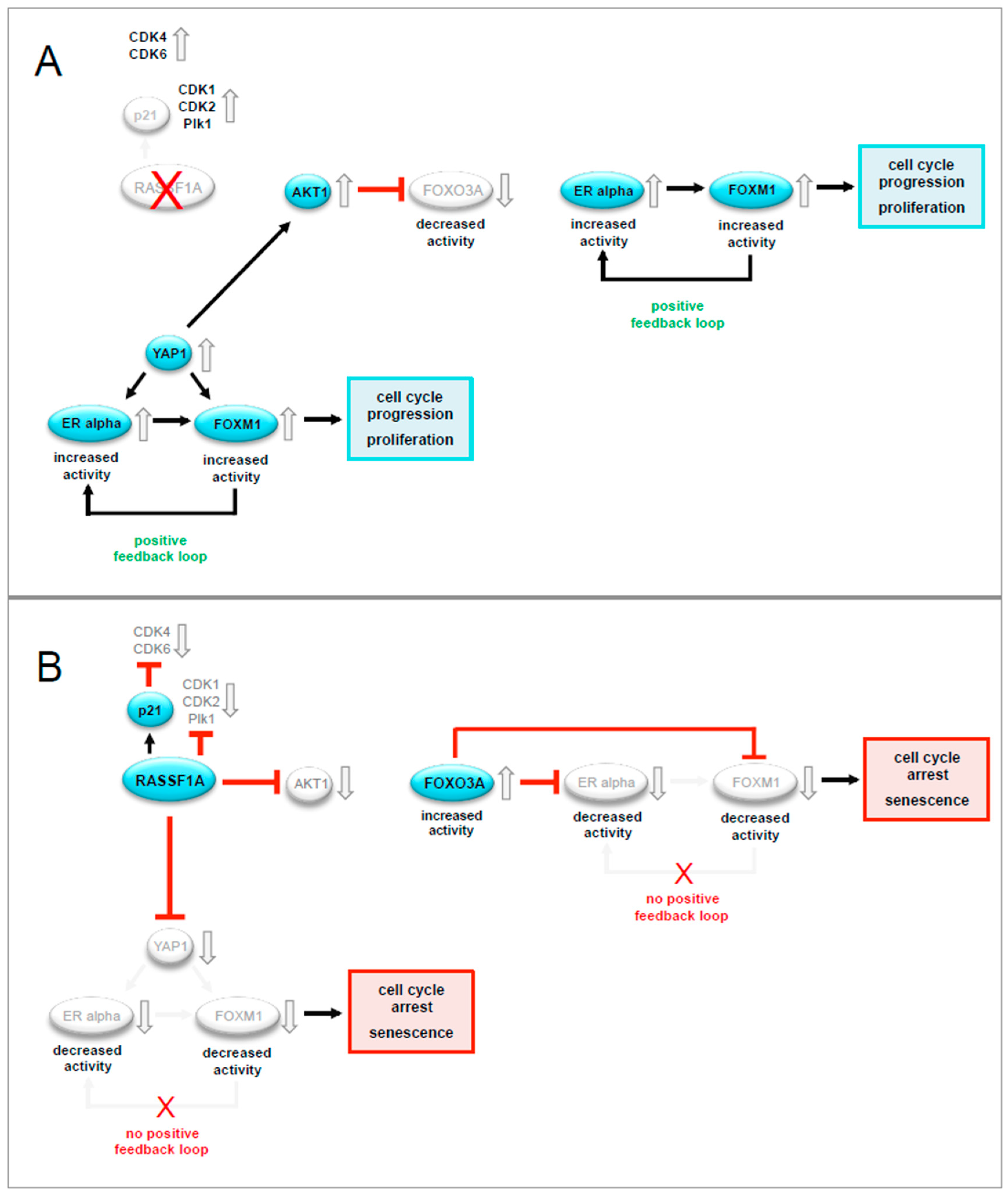 Cancers 12 02689 g009