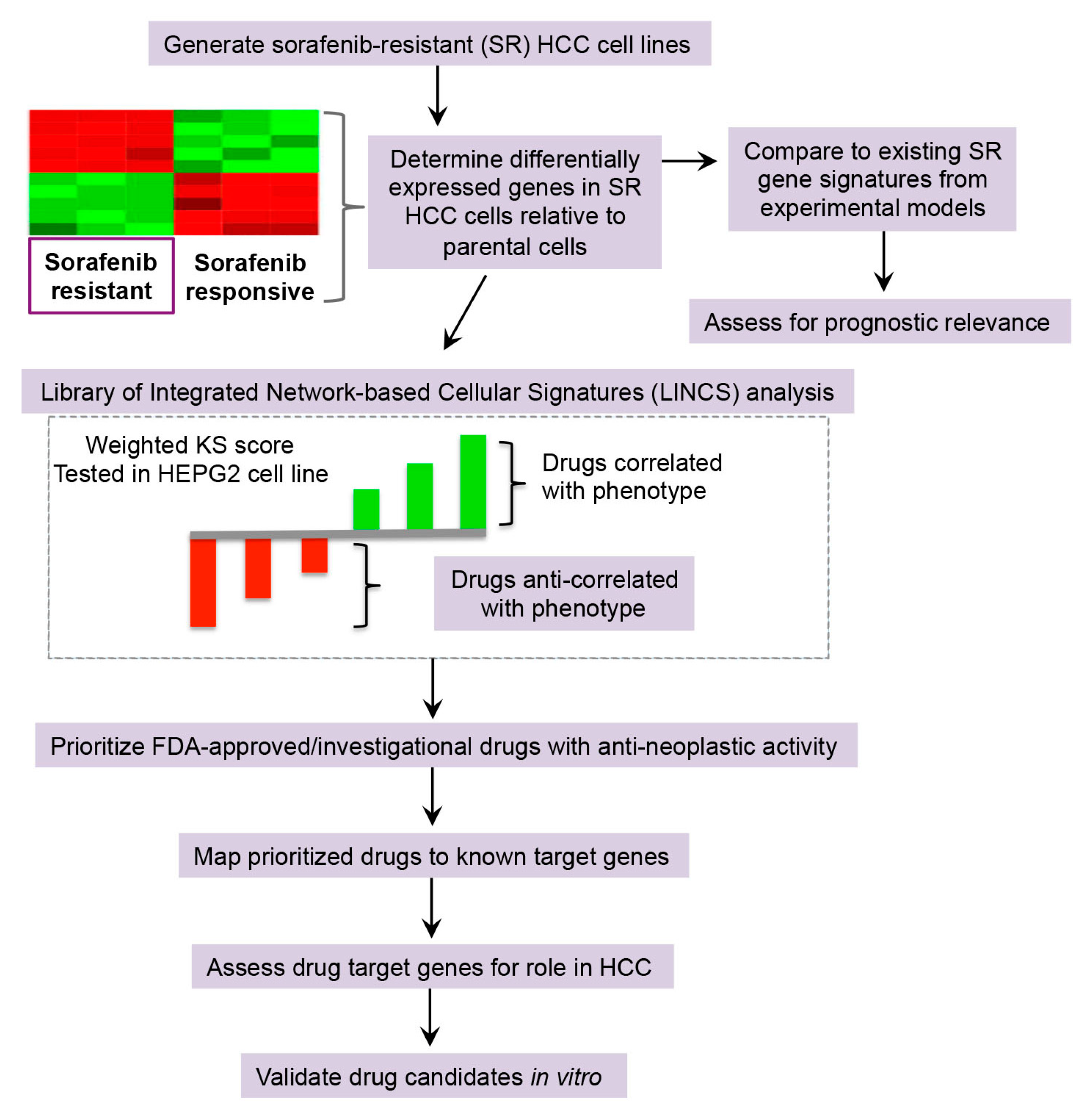 Cancers 12 02730 g001 Cancers 12 02730 g001